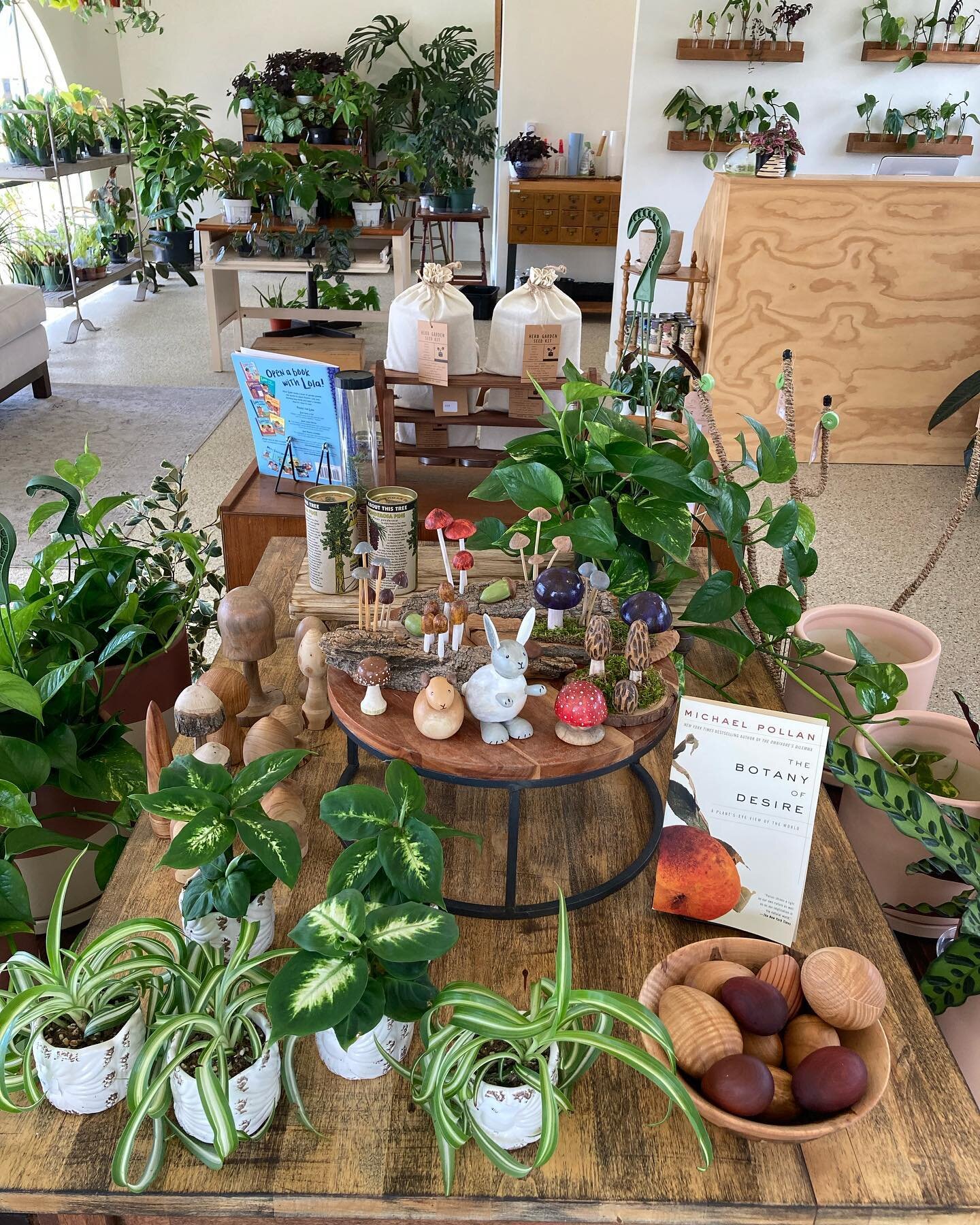 Hi friends! Lots of good stuff in the store right now! Come by and say hi 🪴We&rsquo;re open 11-5!

#plantshop #plantshopping #repot #gifts #decor #mushrooms #plants #newplants #plantmama #plantdaddy #indoorplants #indoorjungle #botanical