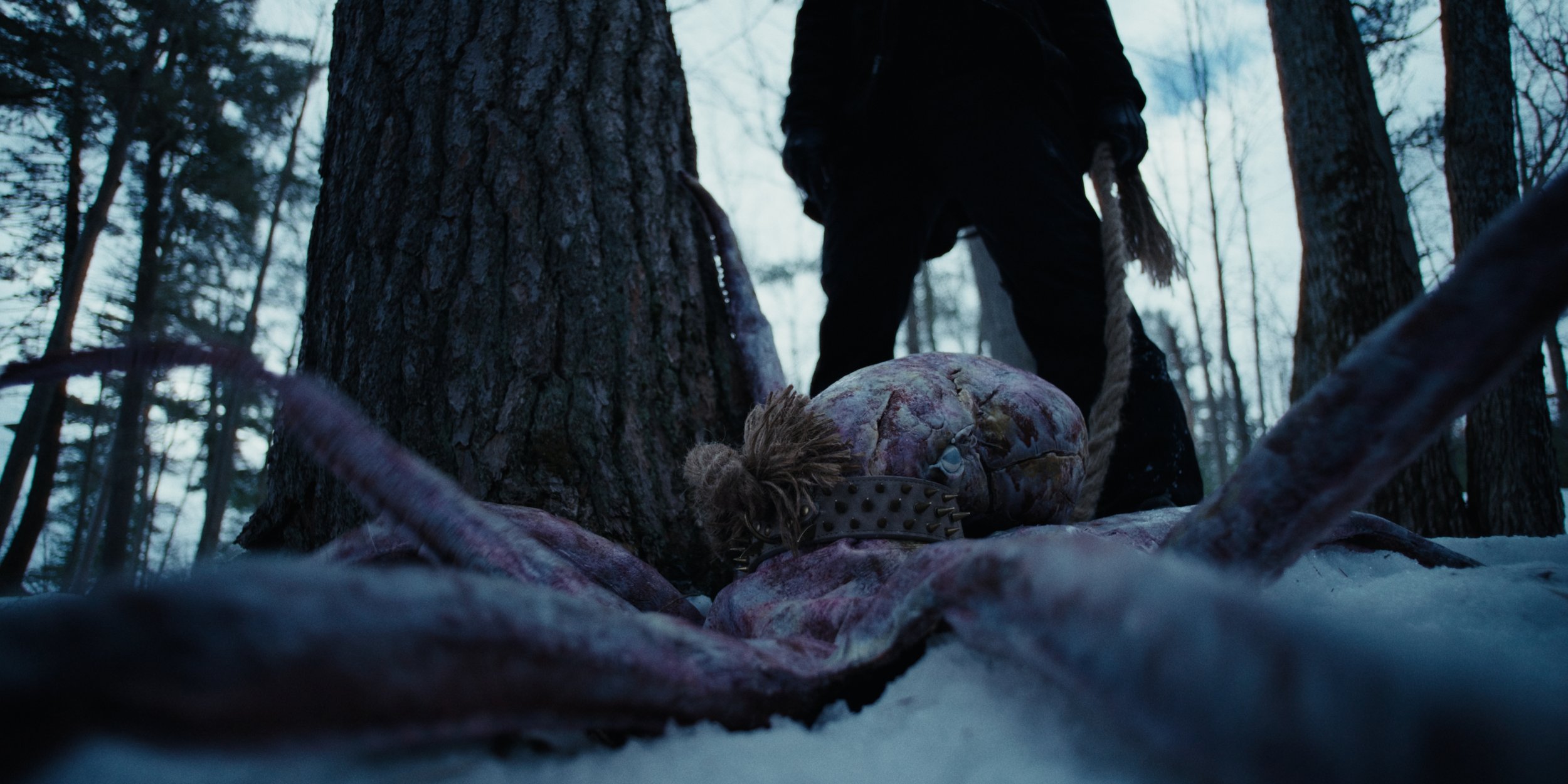 Stills_1.131.1.jpg