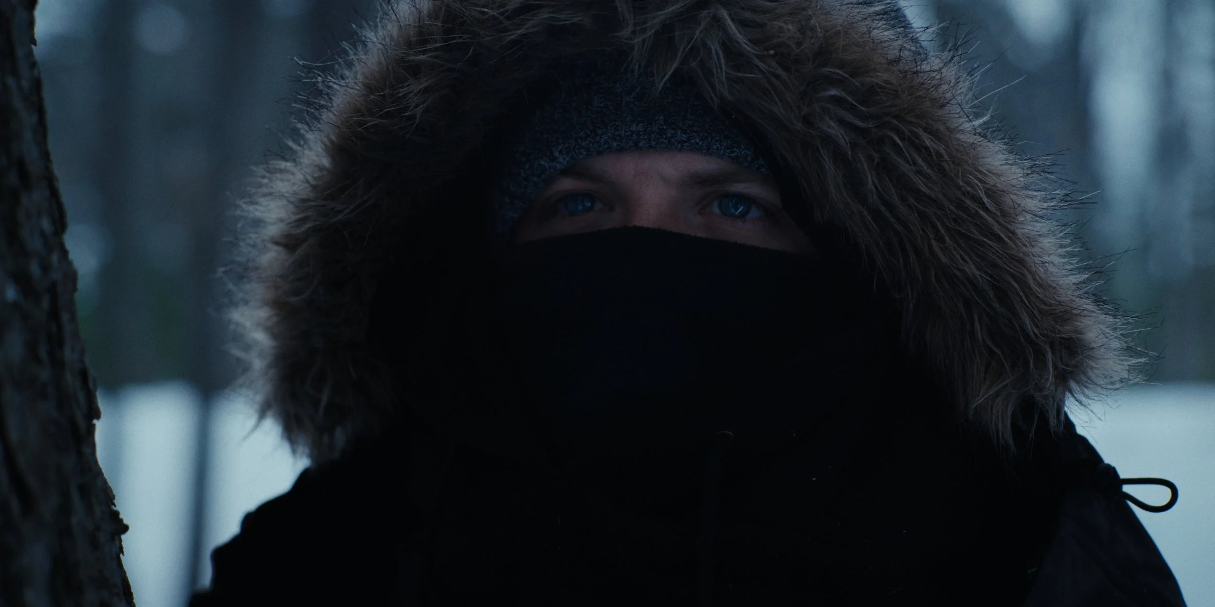 Stills_1.130.2.jpg