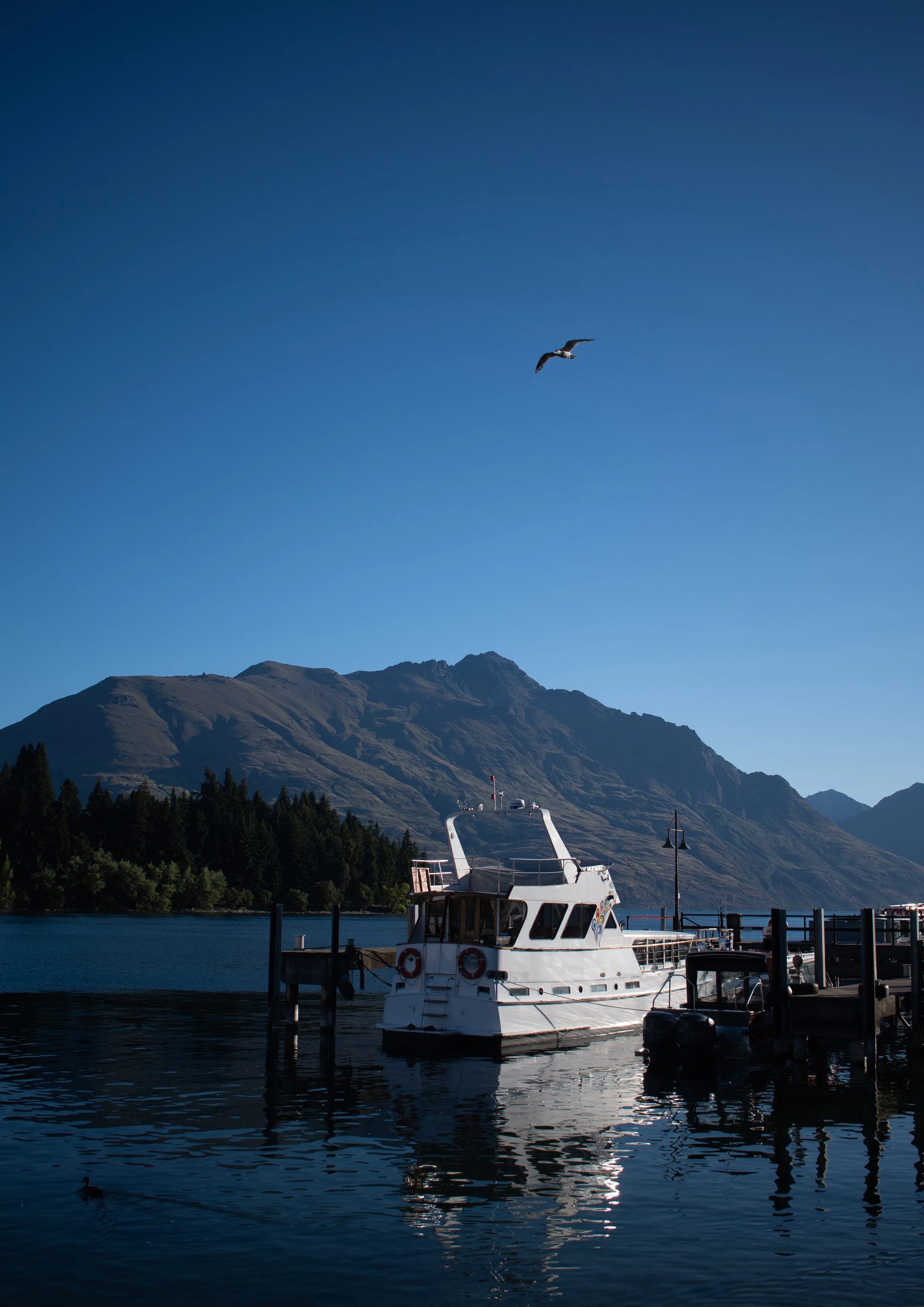 QUEENSTOWN, NEW ZEALAND 2025
