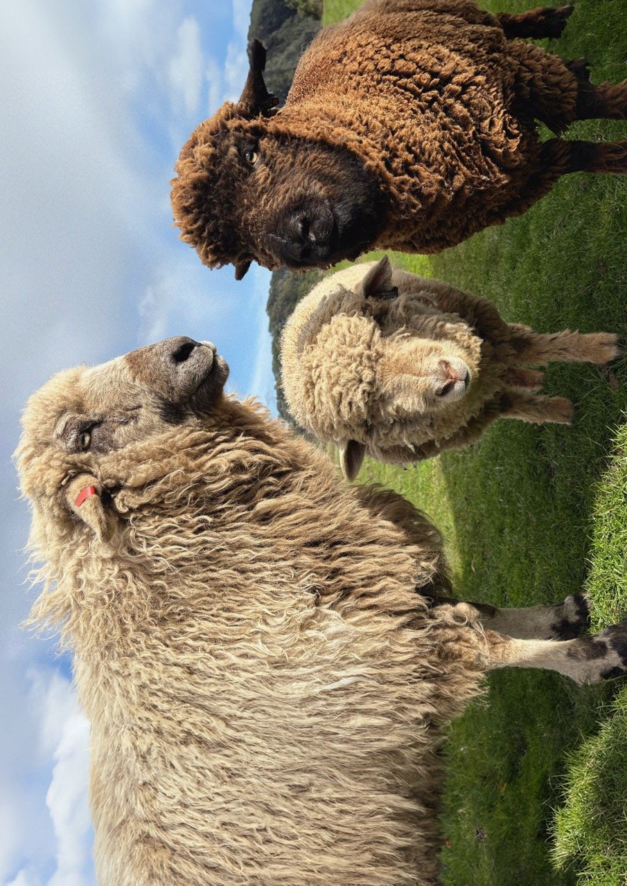 DEVONPORT, AUSTRALIA 2025