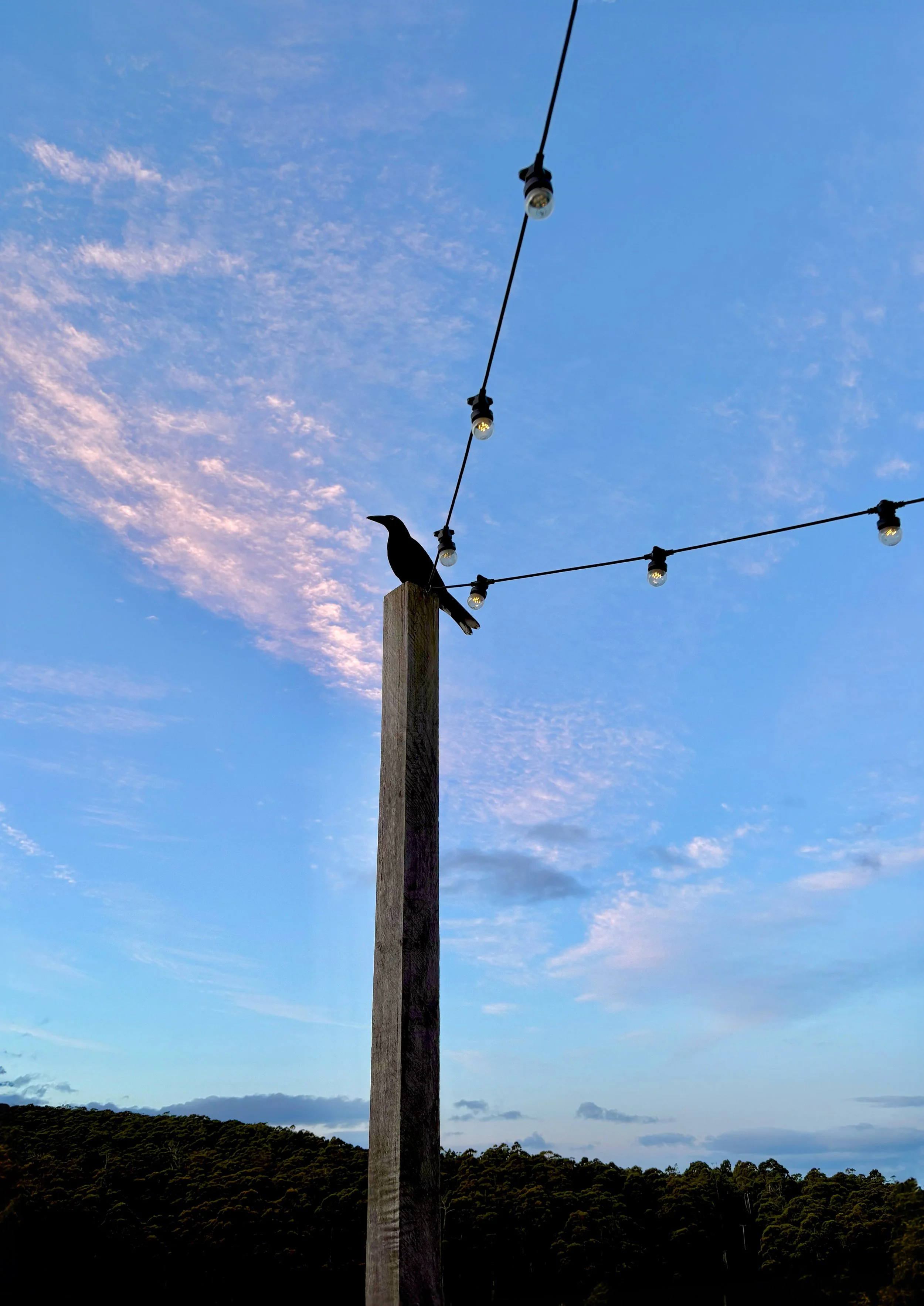 BRUNY ISLAND, AUSTRALIA 2025