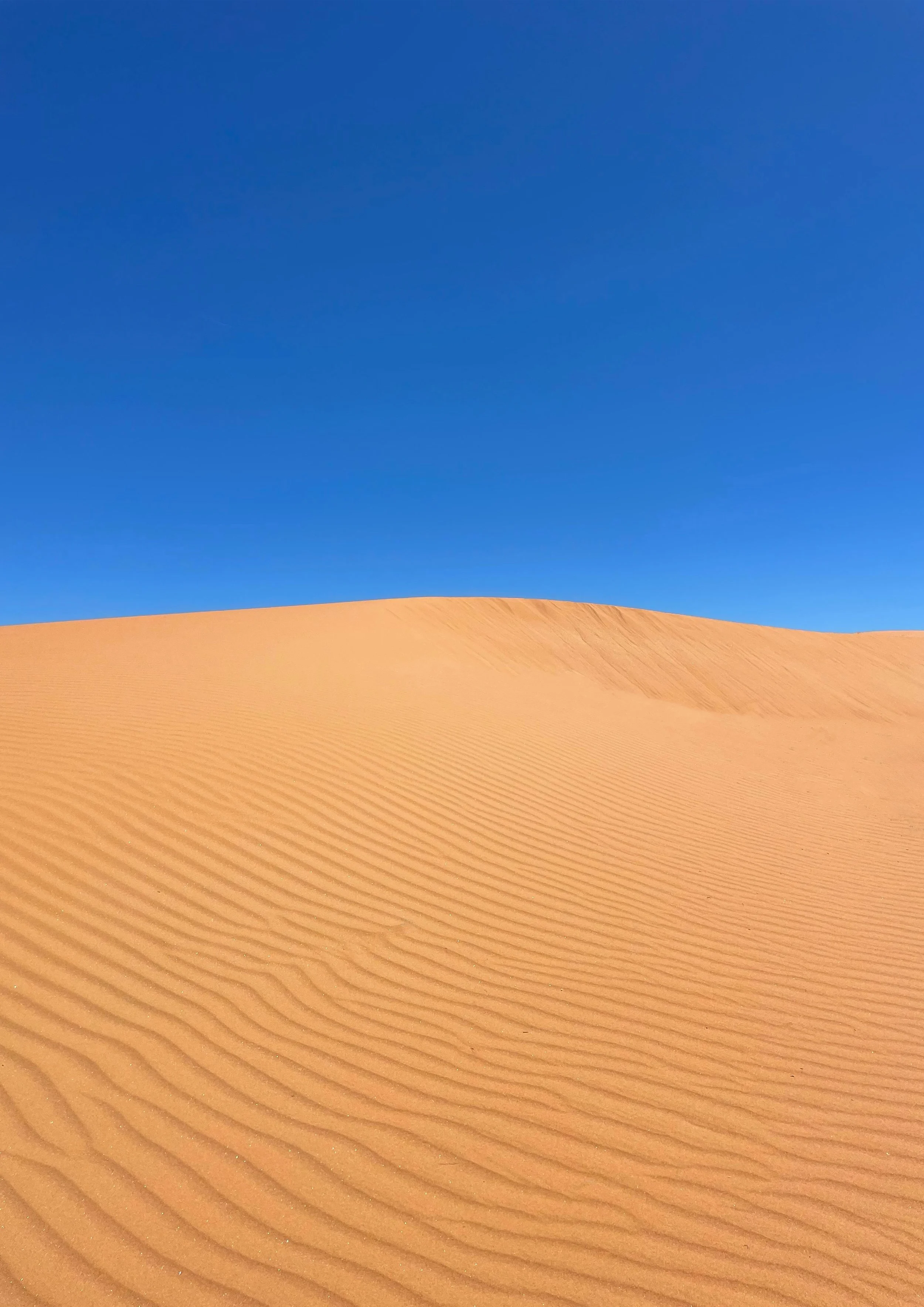 PERRY SANDHILLS, AUSTRALIA 2024