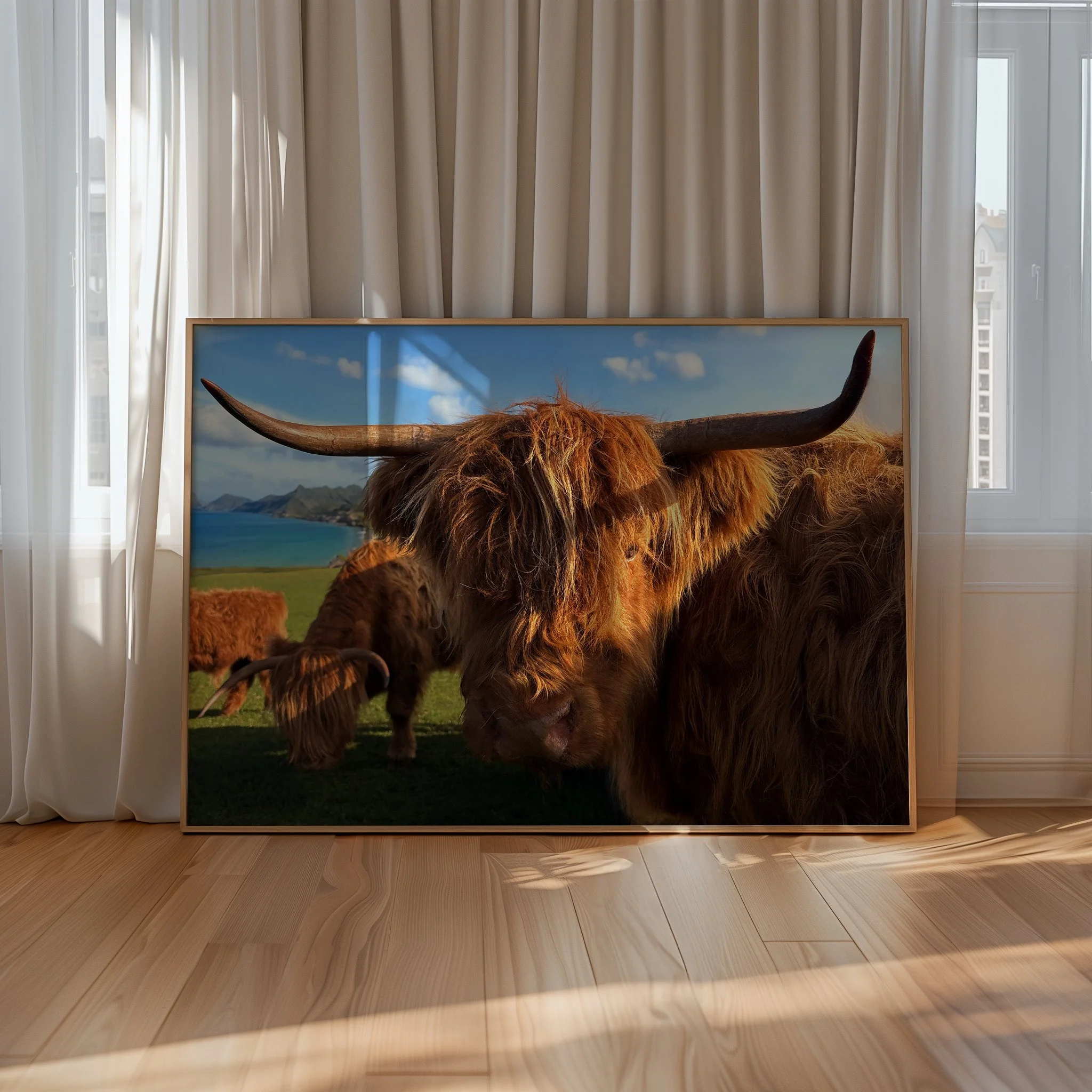 cow.jpg