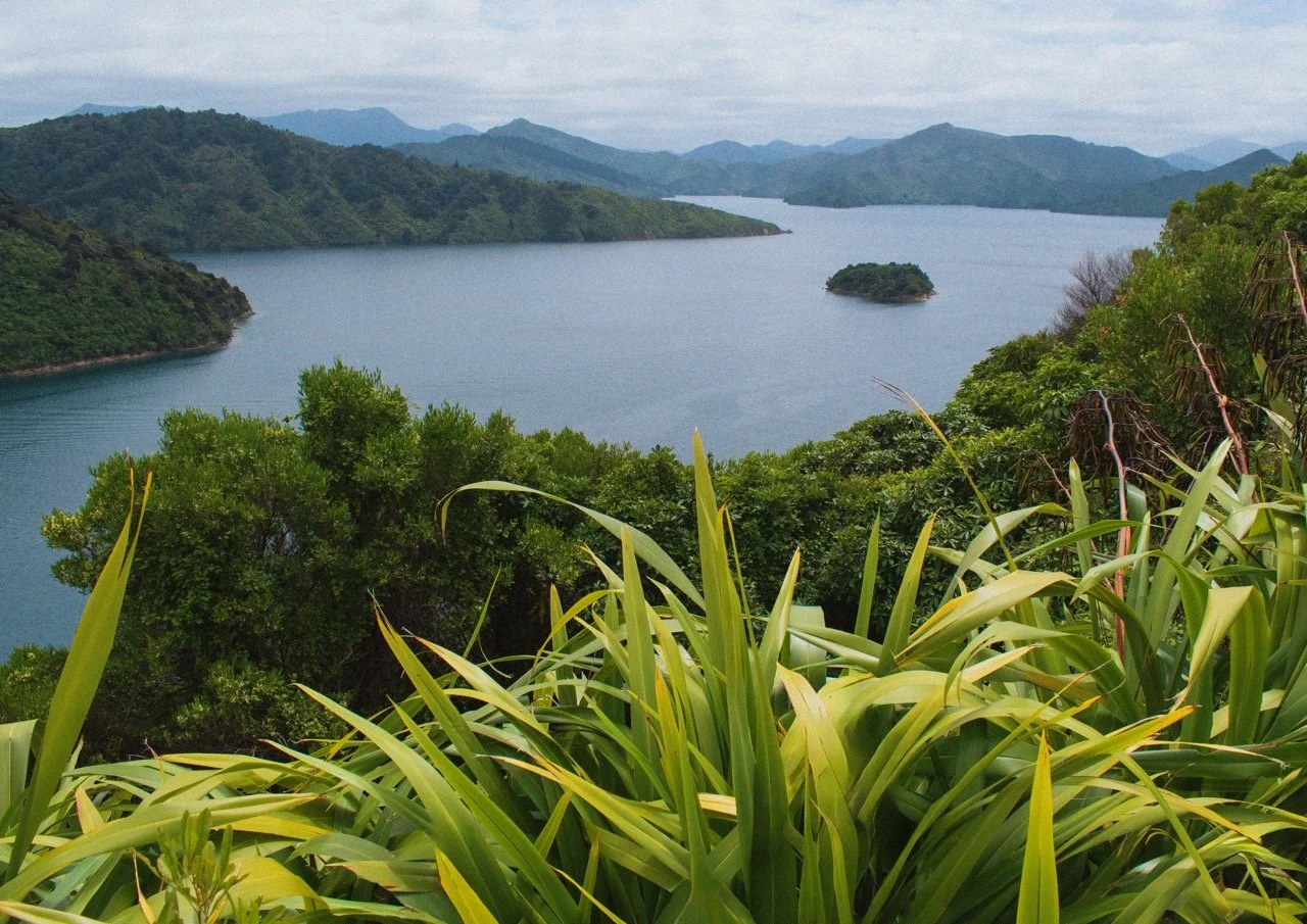 PICTON, NEW ZEALAND 2025