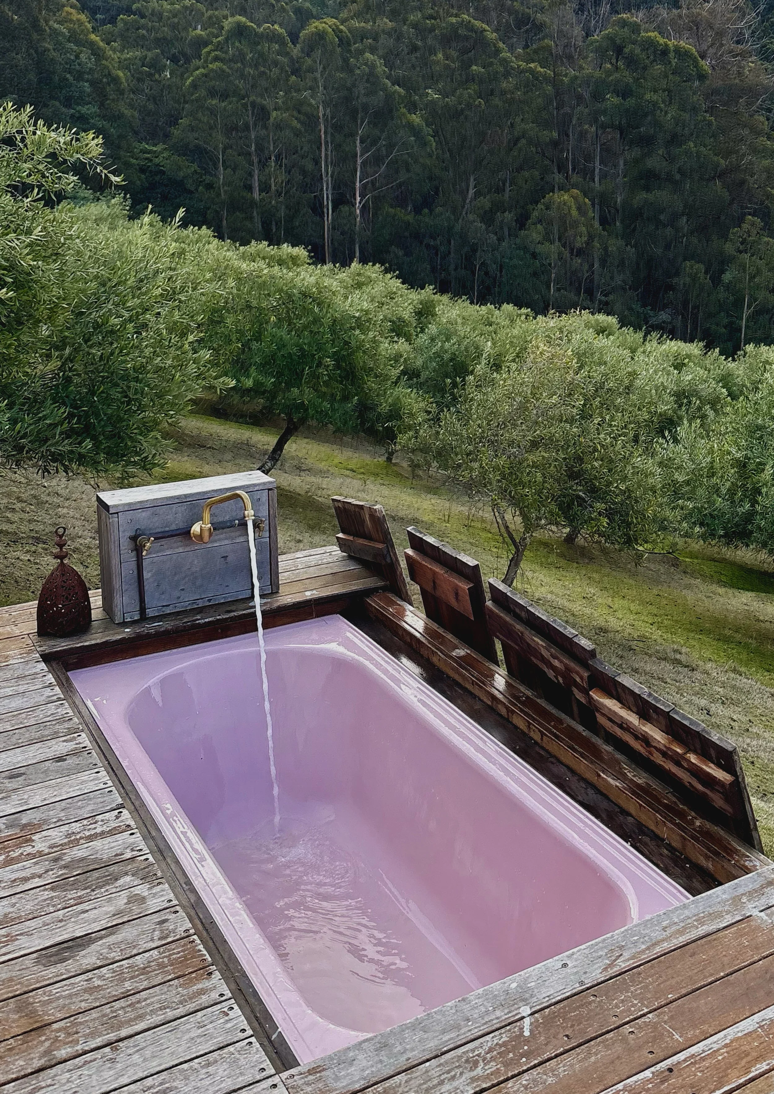 BRUNY ISLAND, AUSTRALIA 2025