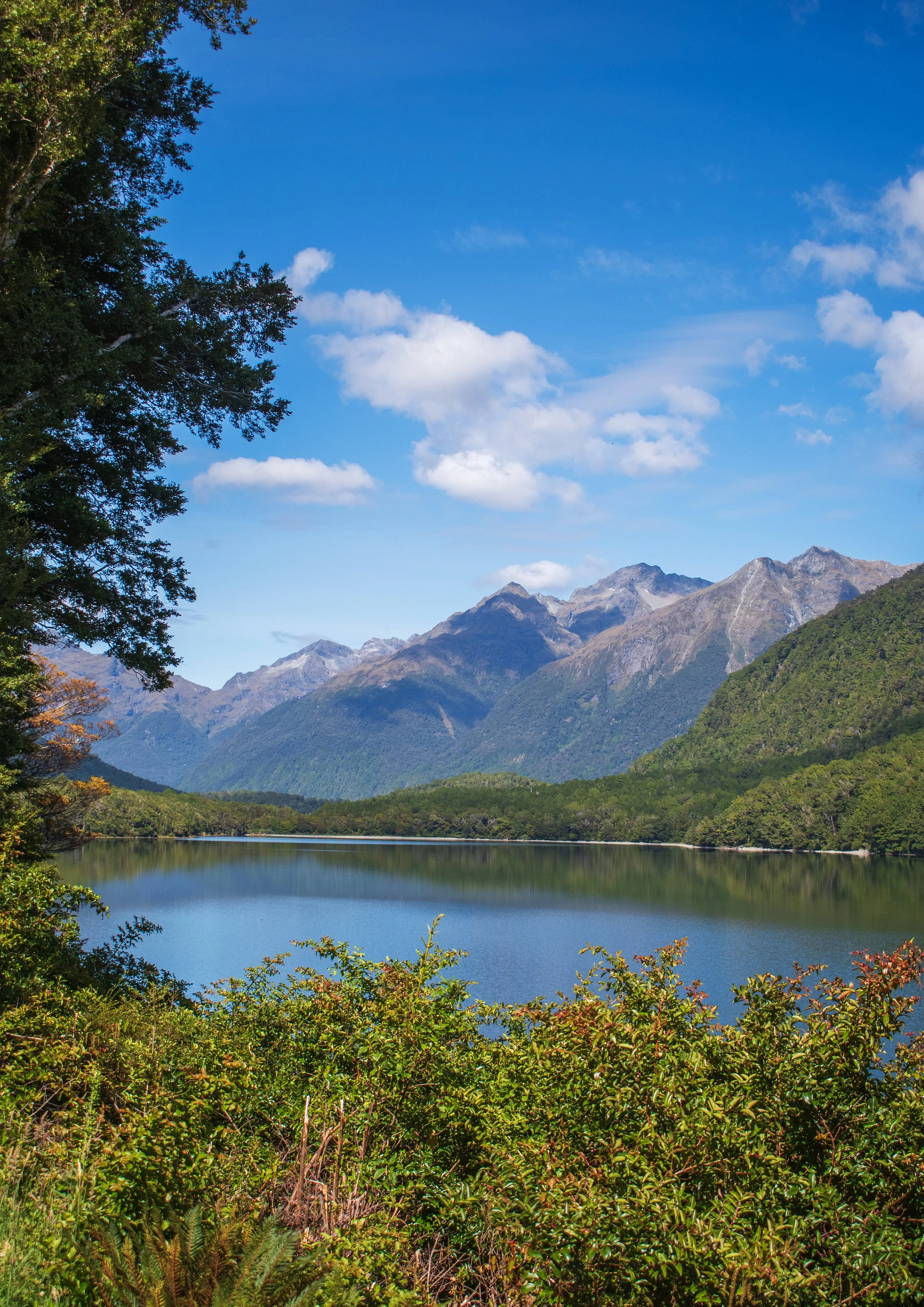 MILFORD SOUND, NEW ZEALAND 2025