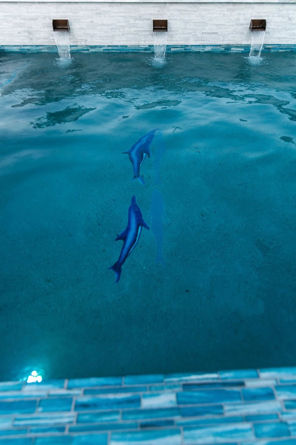 DSC_4886.jpg