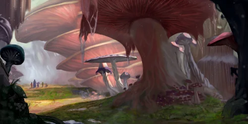 Arcane Acquisition