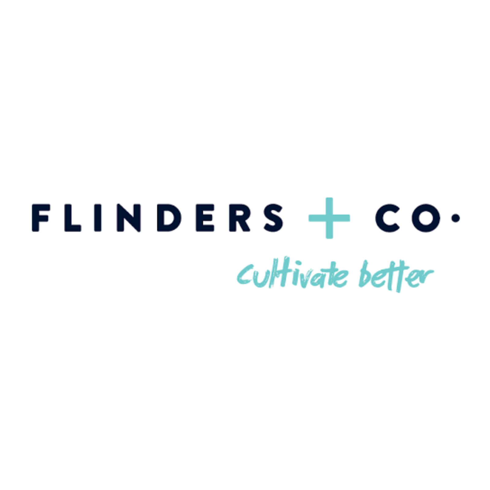 Flinders + Co.png