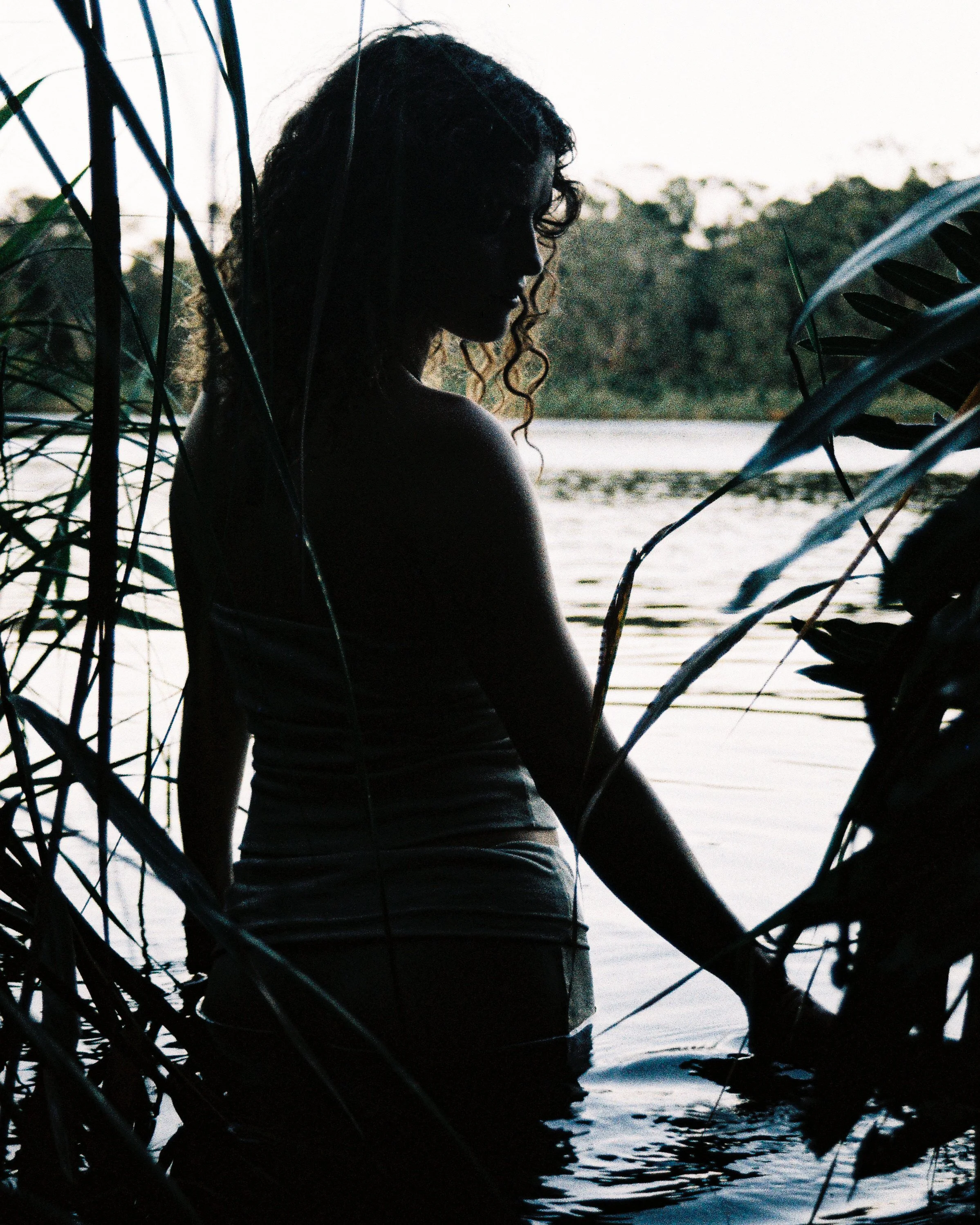 001990003.jpg
