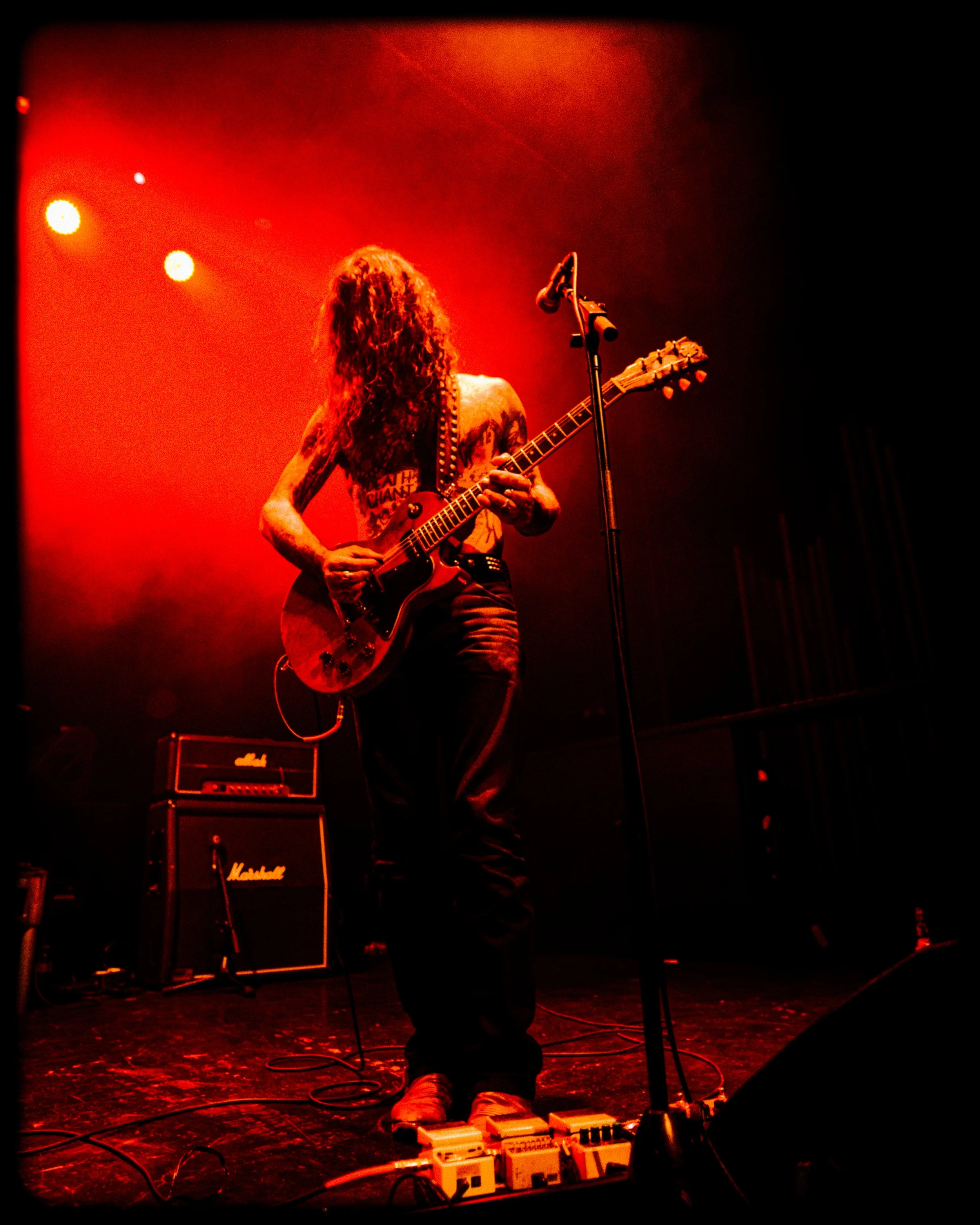 DSC_2005.jpg