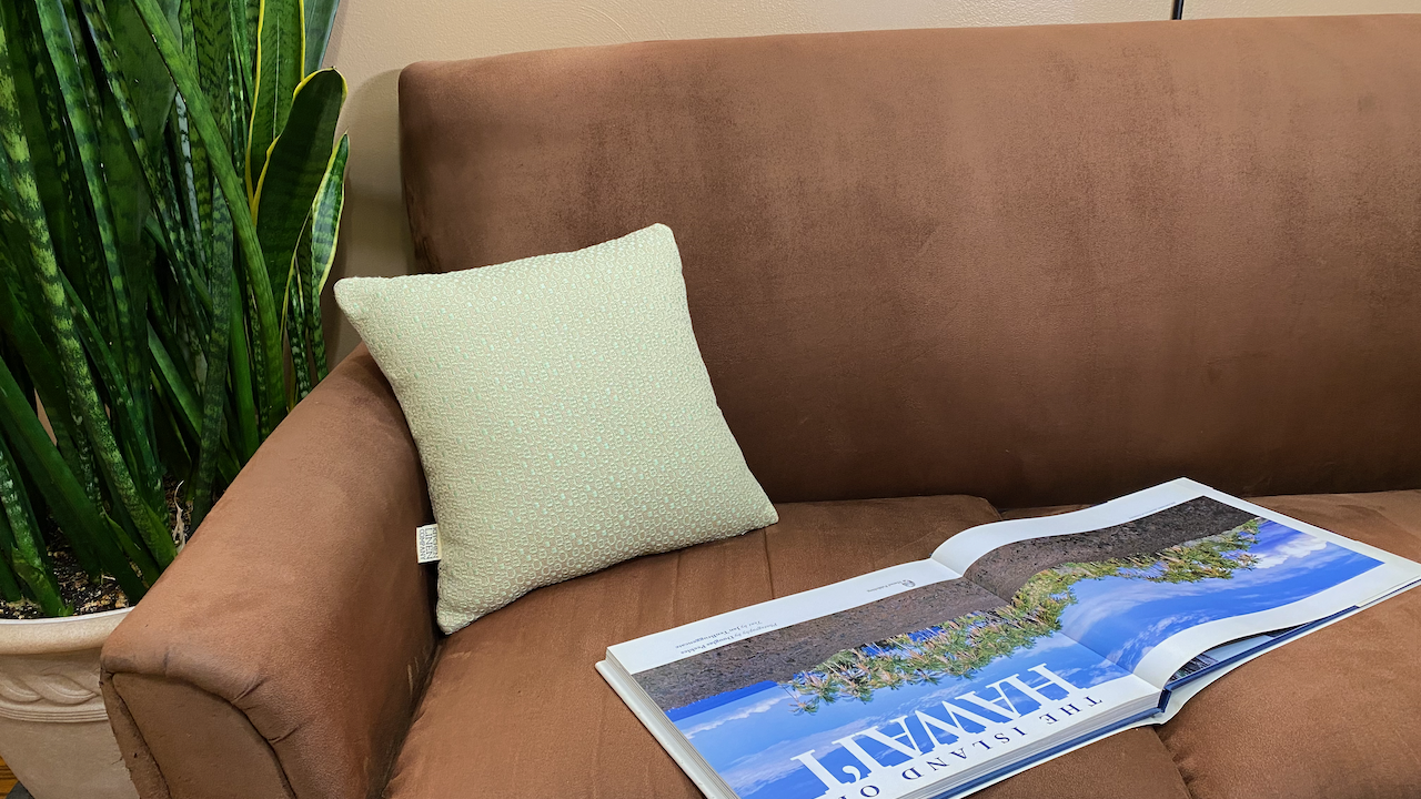 pillow-14x14-trellis-overshot-setting-102.png