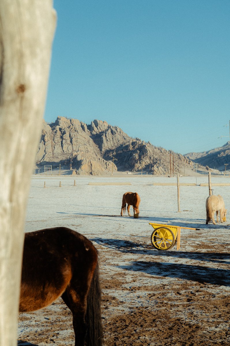 20241219_Mongolia_Winter_Ullanbaatar_Traveling_Mutin_Antoine_Photographer_8353.jpg
