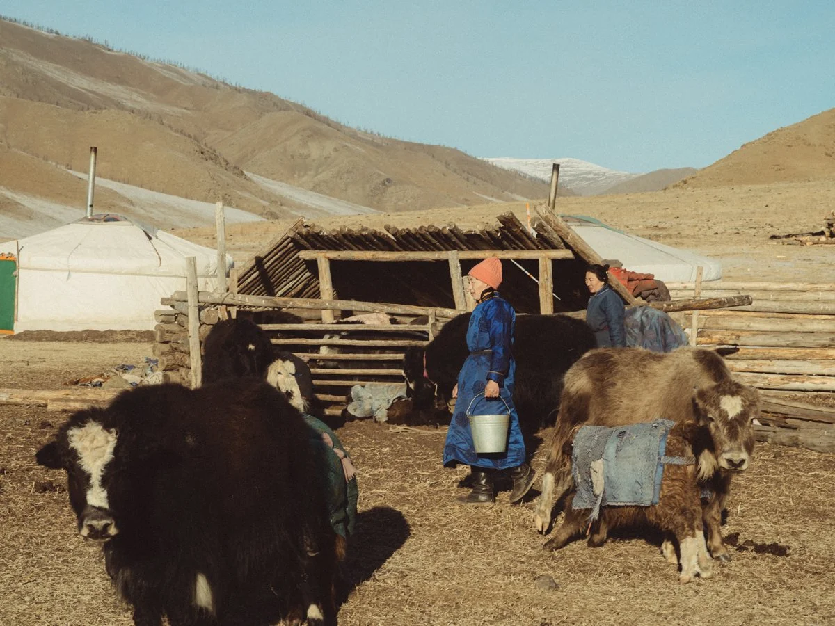 20241222_Mongolia_Winter_Ullanbaatar_Traveling_Mutin_Antoine_Photographer_0076.jpg