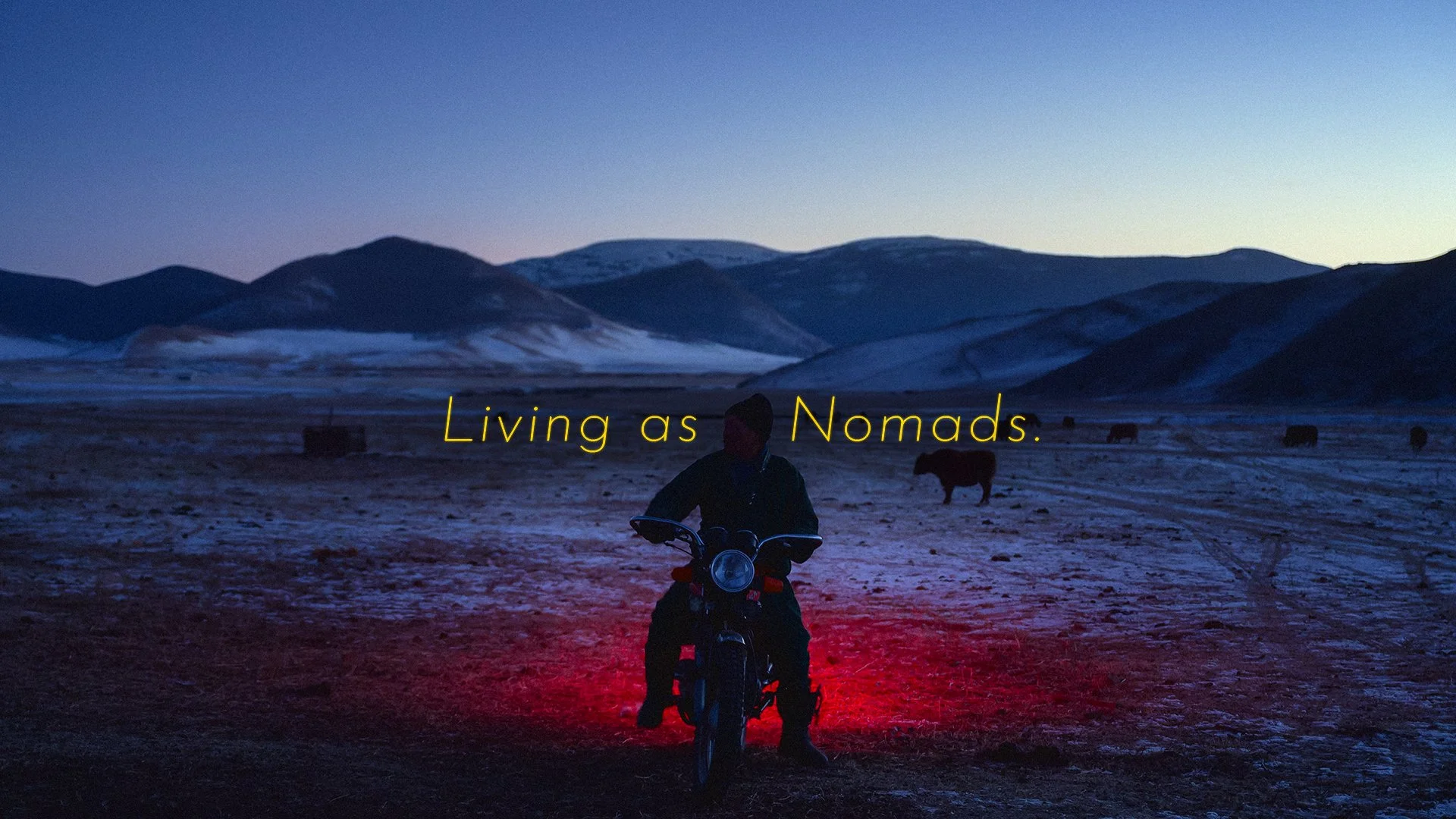 The Best Photography Immersion I've Experienced in Mongolia!