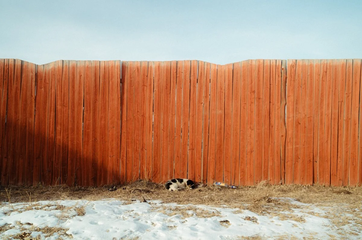20241219_Mongolia_Winter_Ullanbaatar_Traveling_Mutin_Antoine_Photographer_8970.jpg