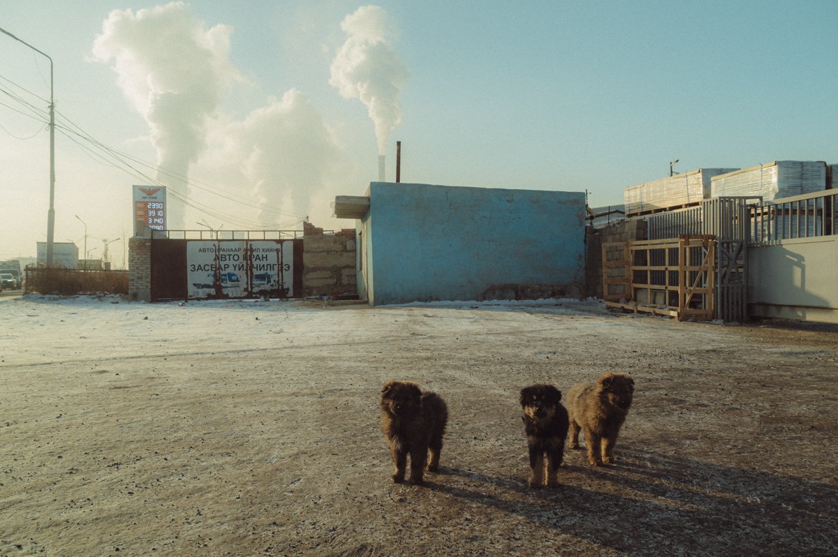 20241217_Mongolia_Winter_Ullanbaatar_Traveling_Mutin_Antoine_Photographer_7316.jpg