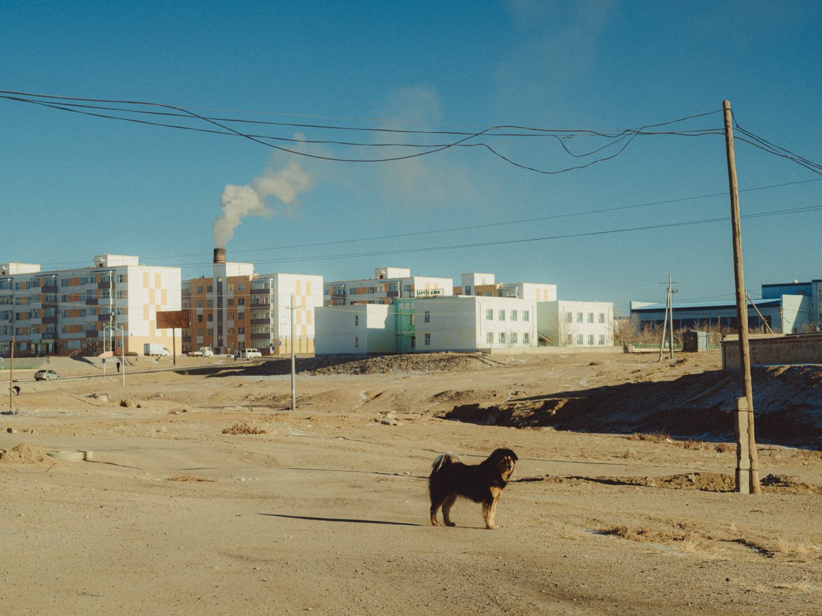20241225_Mongolia_Winter_Ullanbaatar_Traveling_Mutin_Antoine_Photographer_0778.jpg