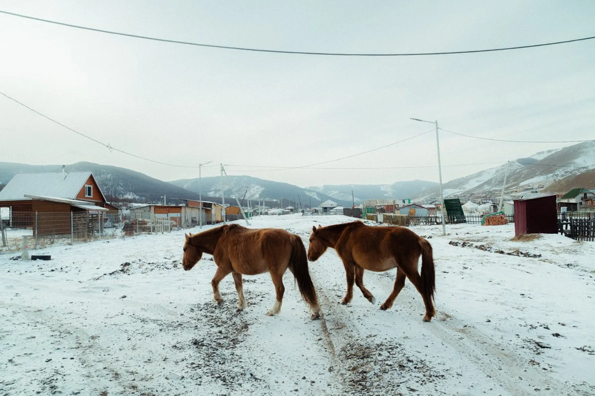 20241219_Mongolia_Winter_Ullanbaatar_Traveling_Mutin_Antoine_Photographer_8922.jpg