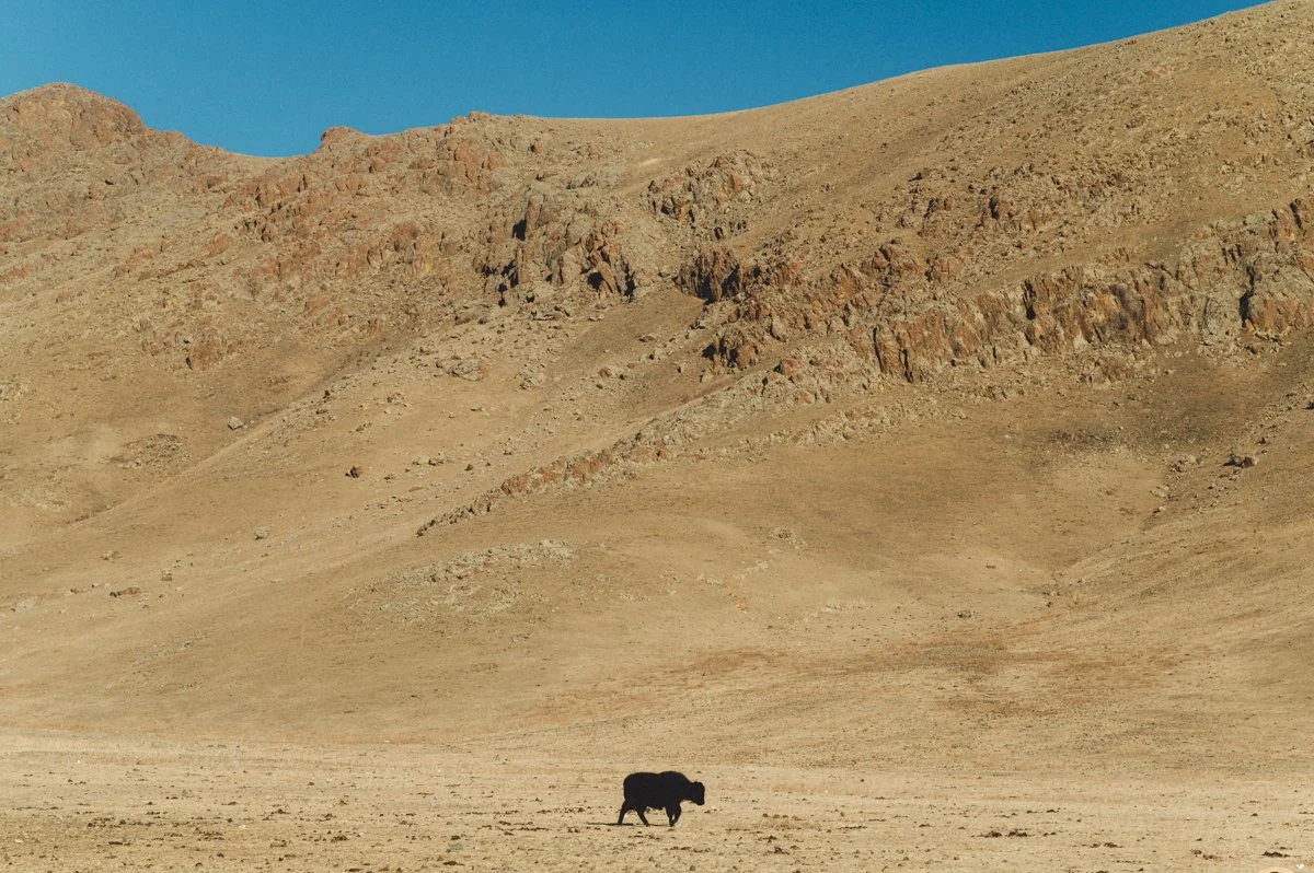 20241221_Mongolia_Winter_Ullanbaatar_Traveling_Mutin_Antoine_Photographer_9484.jpg