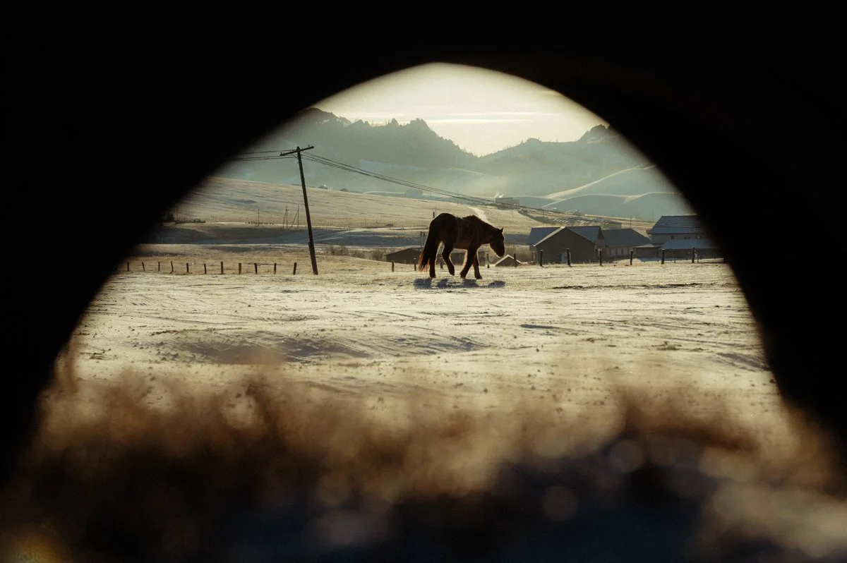 20241219_Mongolia_Winter_Ullanbaatar_Traveling_Mutin_Antoine_Photographer_8226.jpg