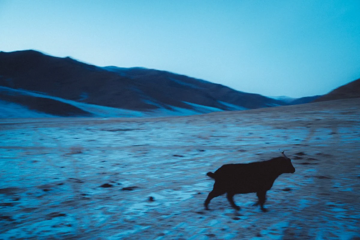 20241222_Mongolia_Winter_Ullanbaatar_Traveling_Mutin_Antoine_Photographer_0375.jpg