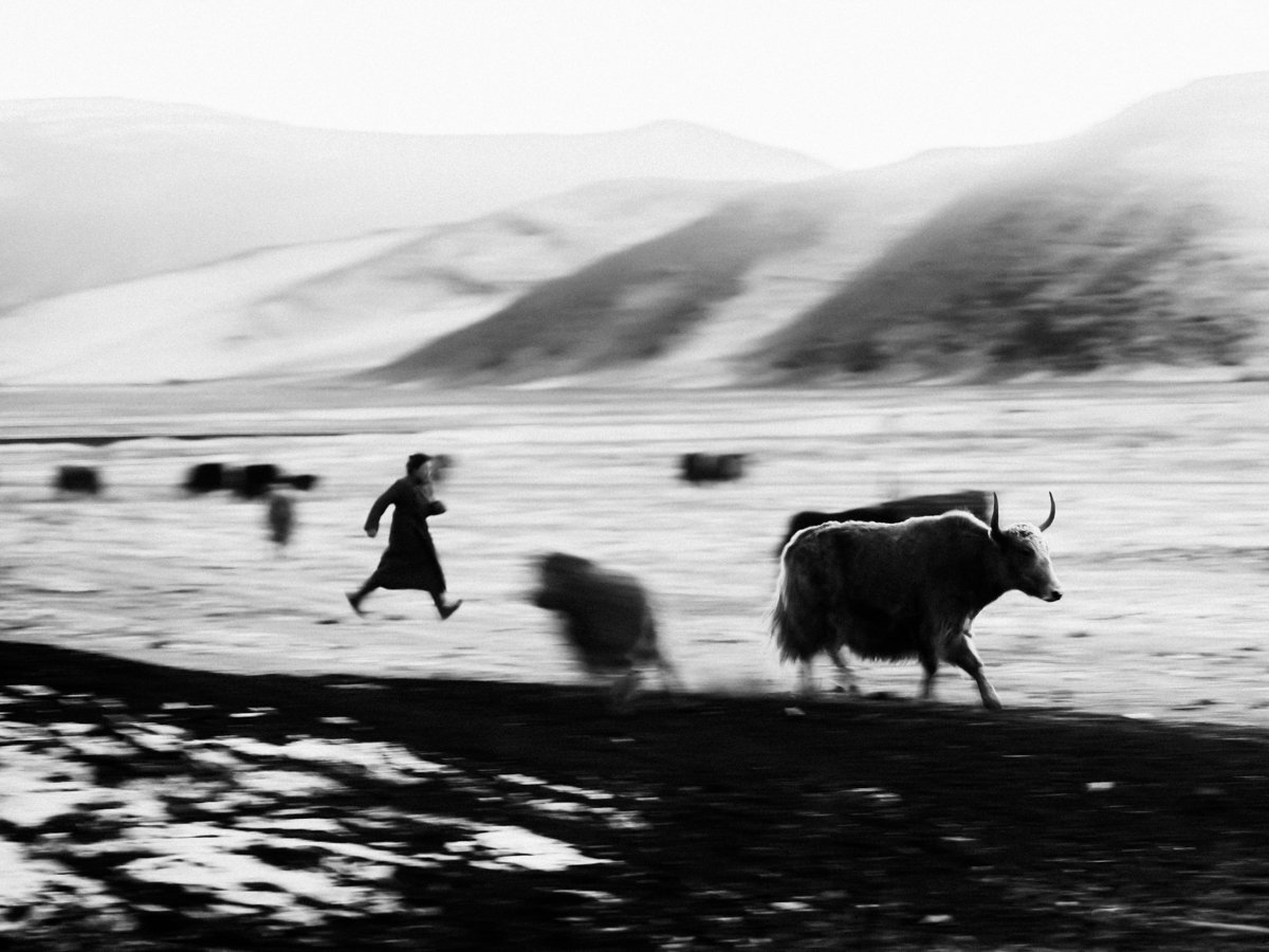 20241221_Mongolia_Winter_Ullanbaatar_Traveling_Mutin_Antoine_Photographer_9948.jpg