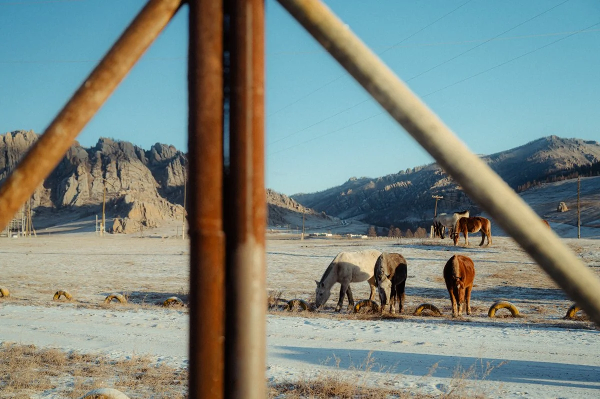20241219_Mongolia_Winter_Ullanbaatar_Traveling_Mutin_Antoine_Photographer_8186.jpg