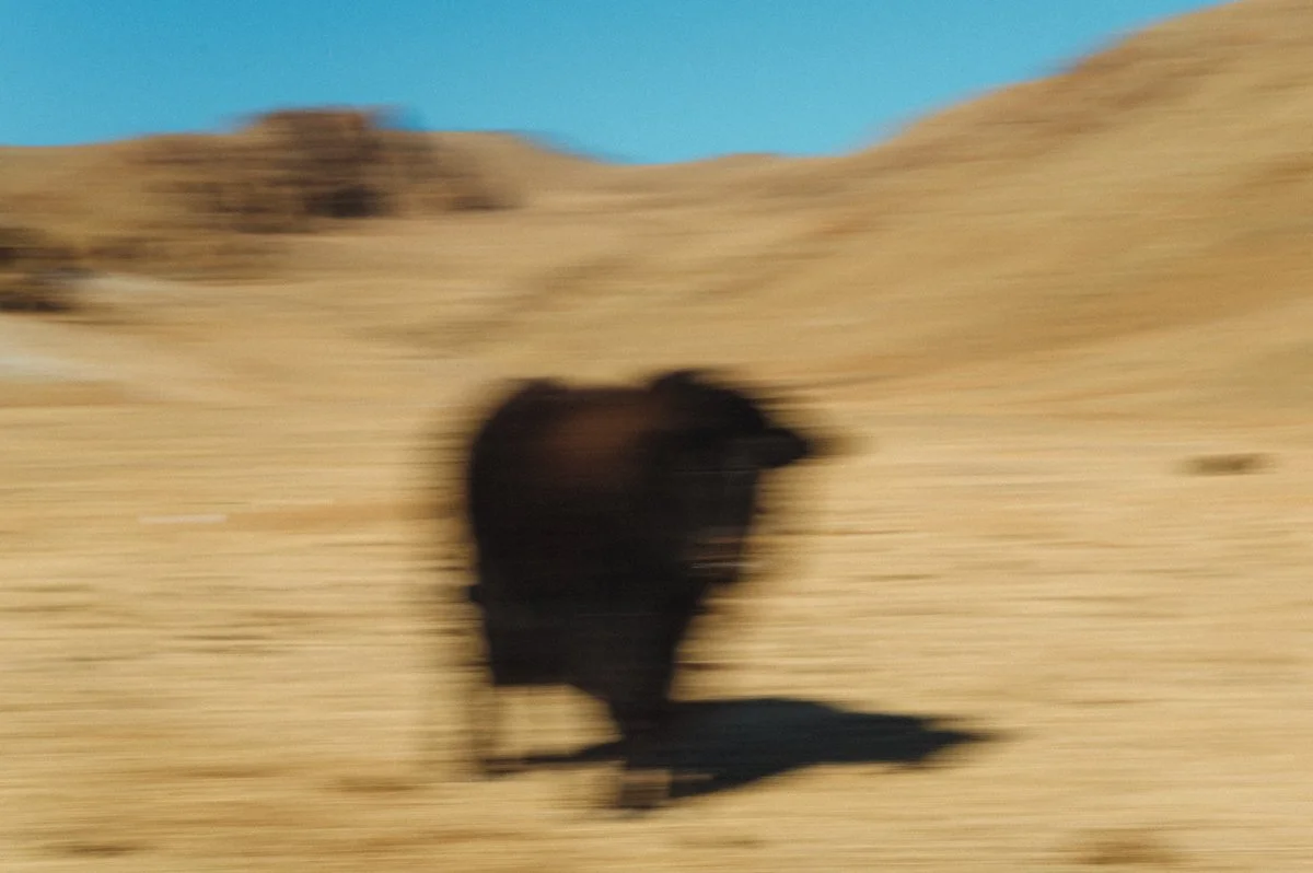20241221_Mongolia_Winter_Ullanbaatar_Traveling_Mutin_Antoine_Photographer_9524.jpg