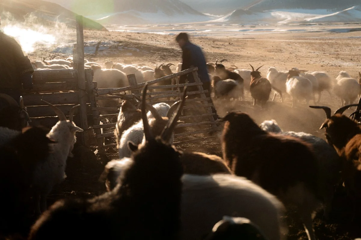 20241221_Mongolia_Winter_Ullanbaatar_Traveling_Mutin_Antoine_Photographer_9244.jpg