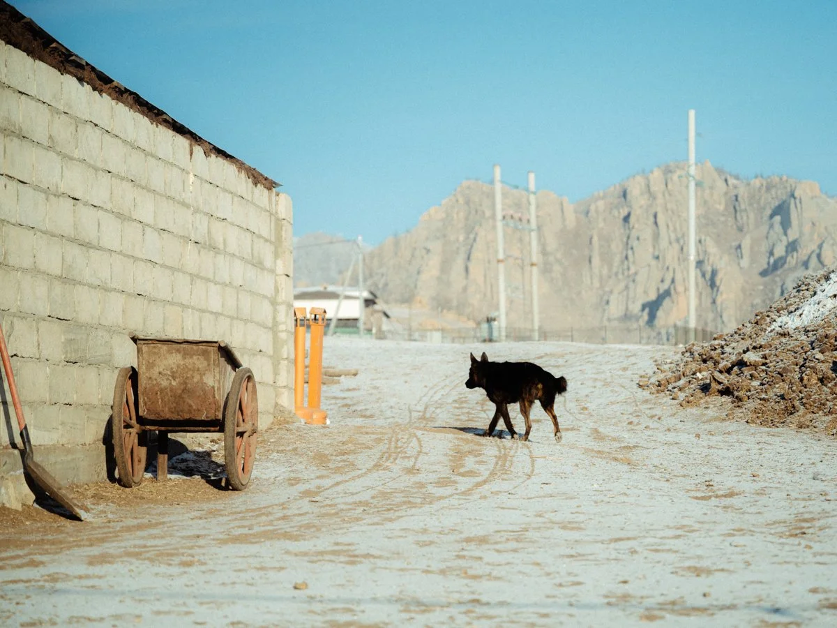 20241219_Mongolia_Winter_Ullanbaatar_Traveling_Mutin_Antoine_Photographer_8760.jpg