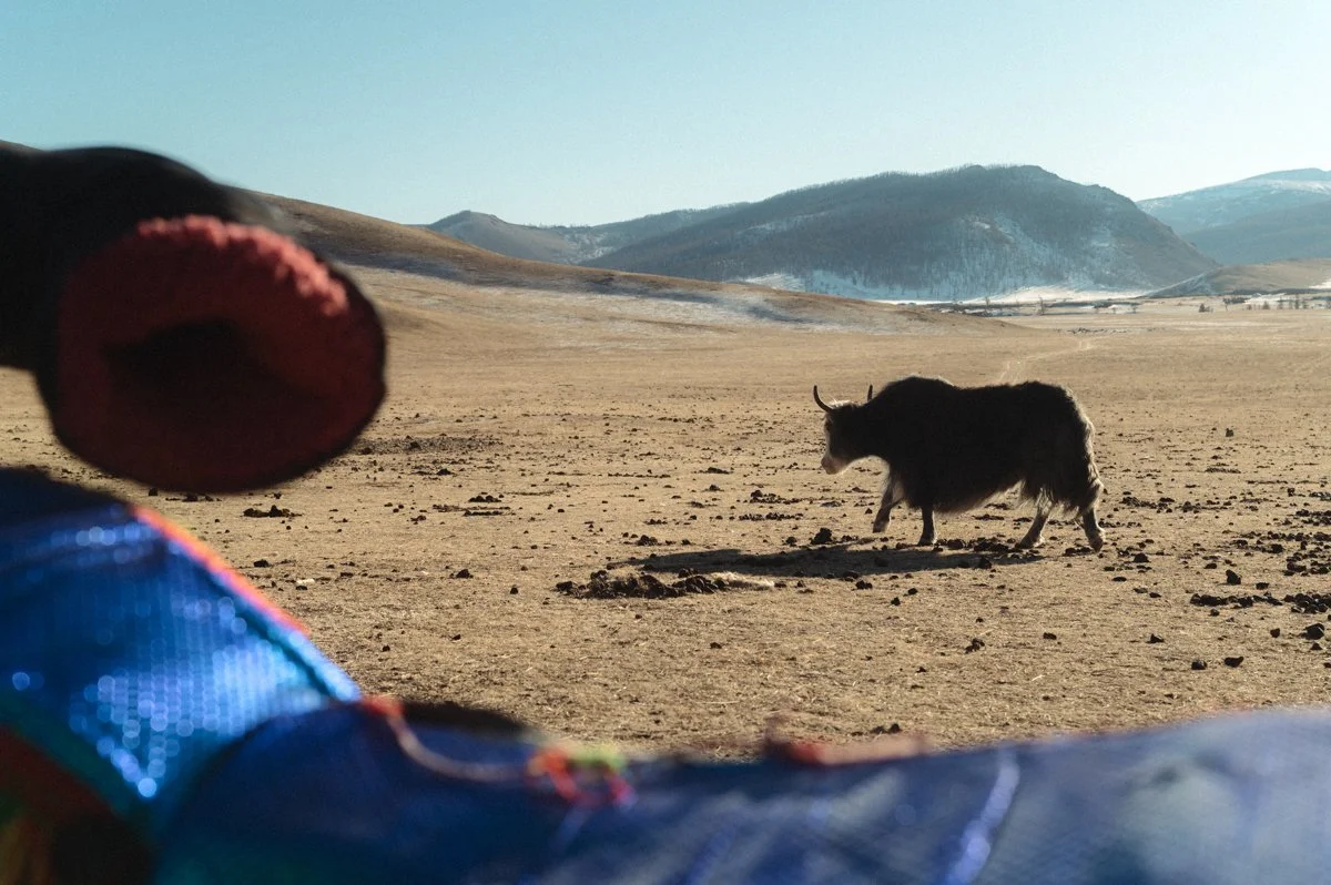 20241221_Mongolia_Winter_Ullanbaatar_Traveling_Mutin_Antoine_Photographer_9489.jpg