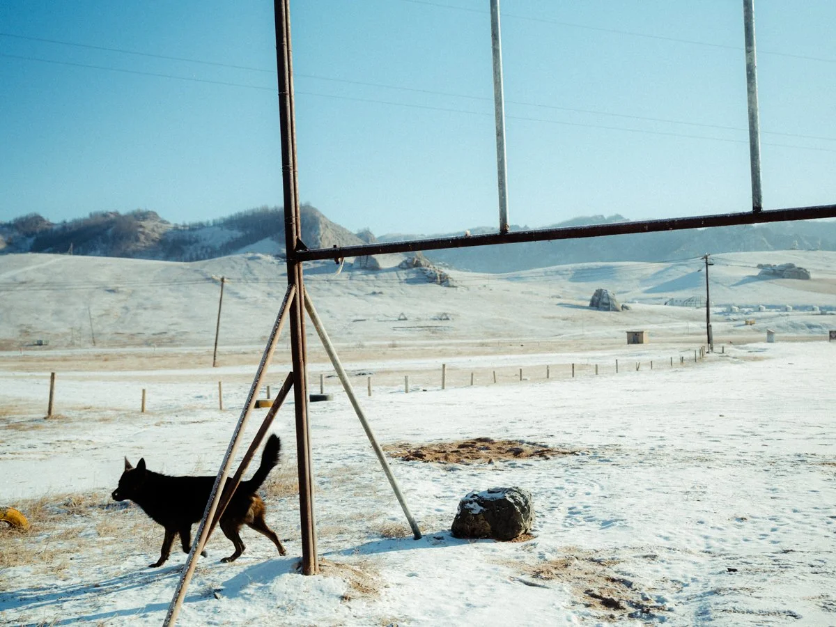 20241219_Mongolia_Winter_Ullanbaatar_Traveling_Mutin_Antoine_Photographer_8718.jpg