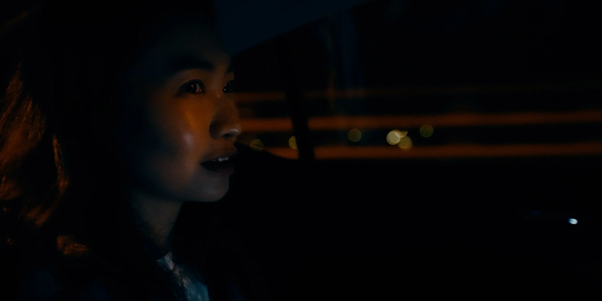 Sequence 01.00_00_13_21.Still003.jpg