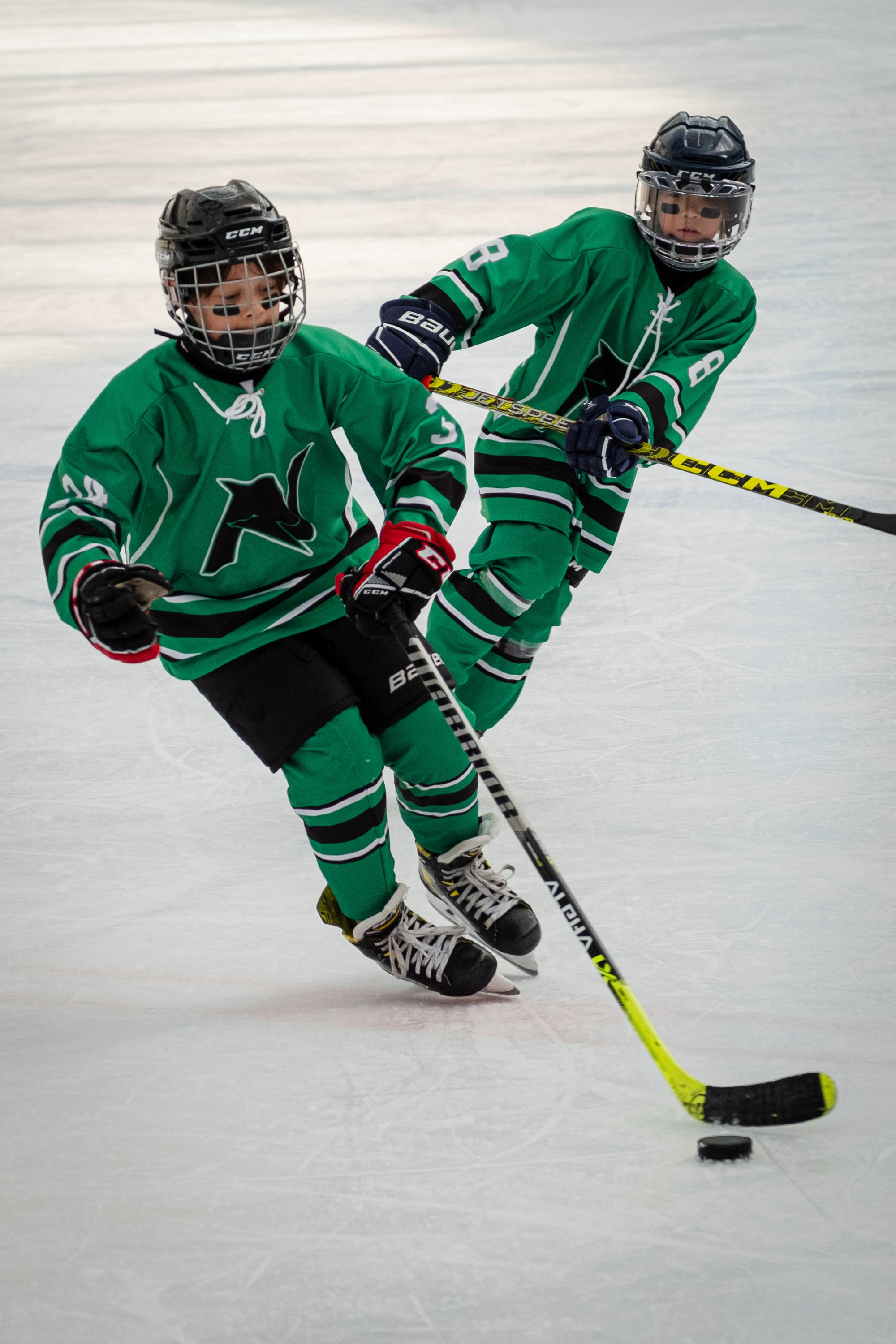 DSCF8384.jpg