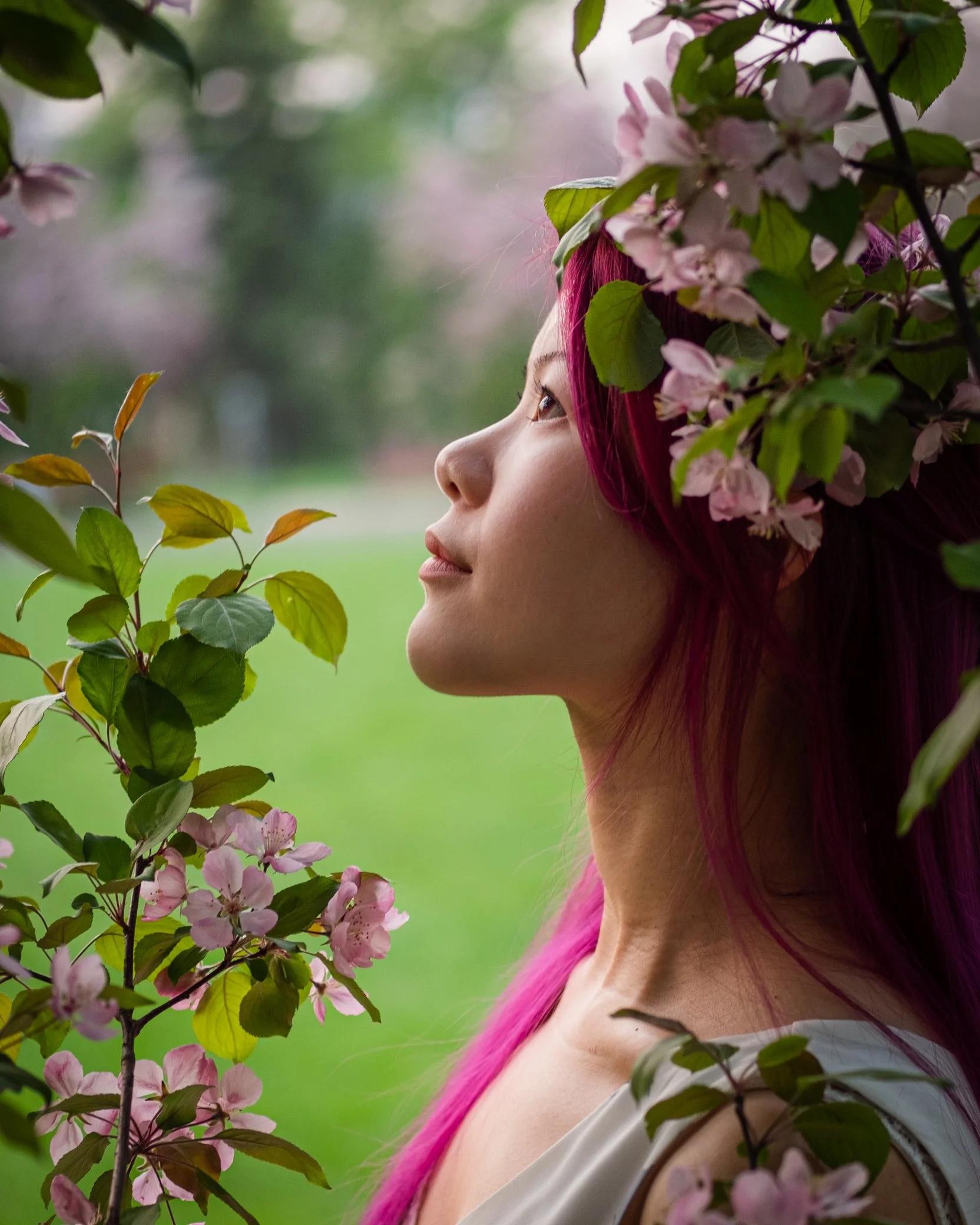 DSCF9187-2.jpg