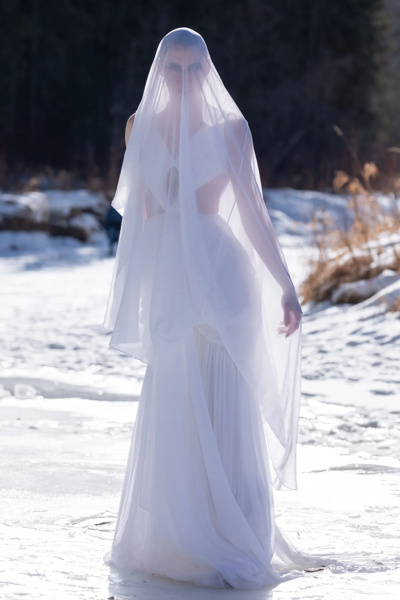 FXH14057.jpg