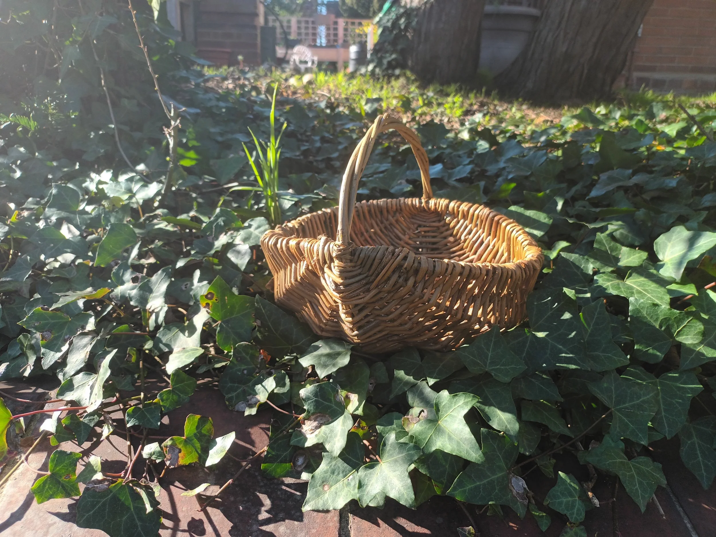 Make a country forager basket - all day workshop with Berrywillows