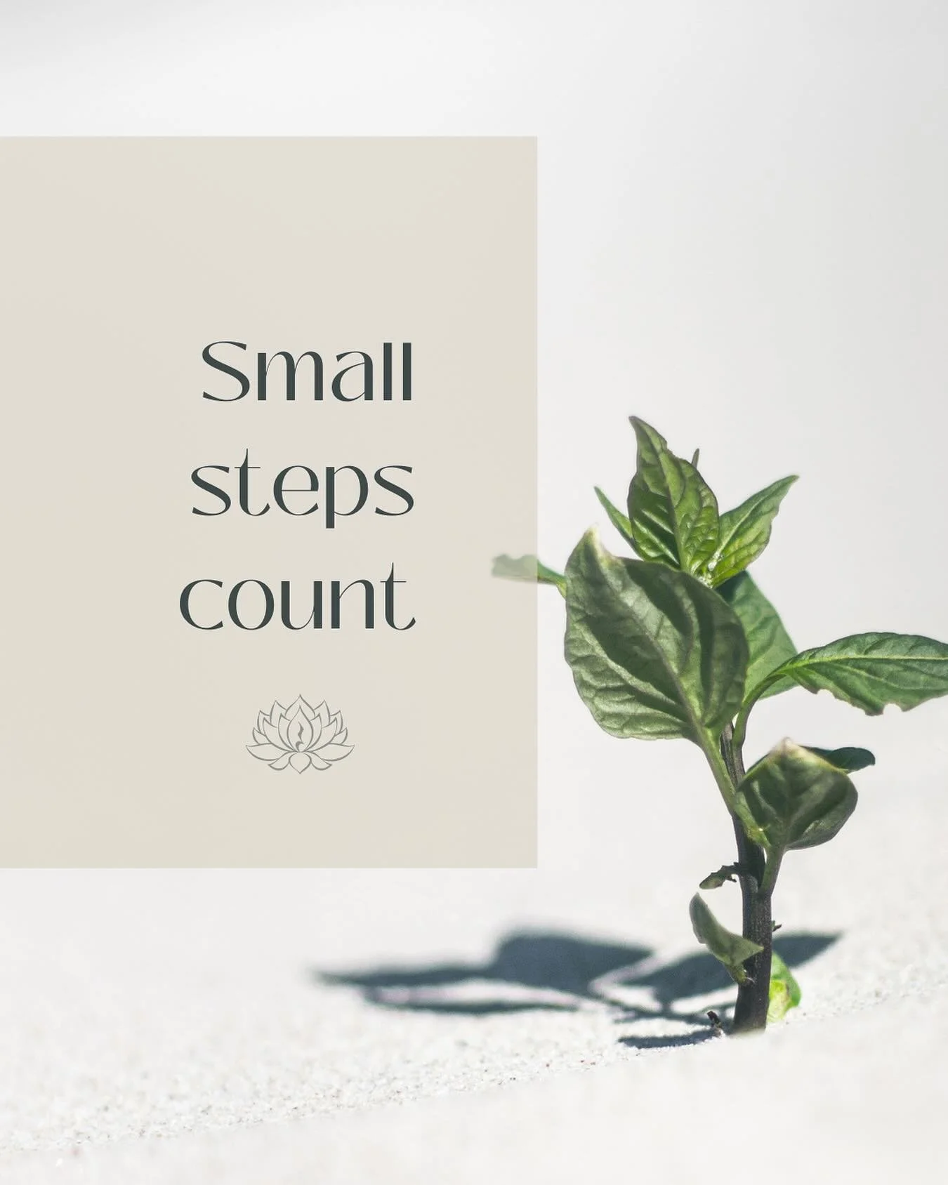 🌱 Tuesday Tip:
Healing isn&rsquo;t always big and dramatic. Sometimes it&rsquo;s taking a shower when you don&rsquo;t feel like it, replying to one message, or getting out of bed. Those small wins matter &mdash; they build momentum.
💬 Try this: Wha