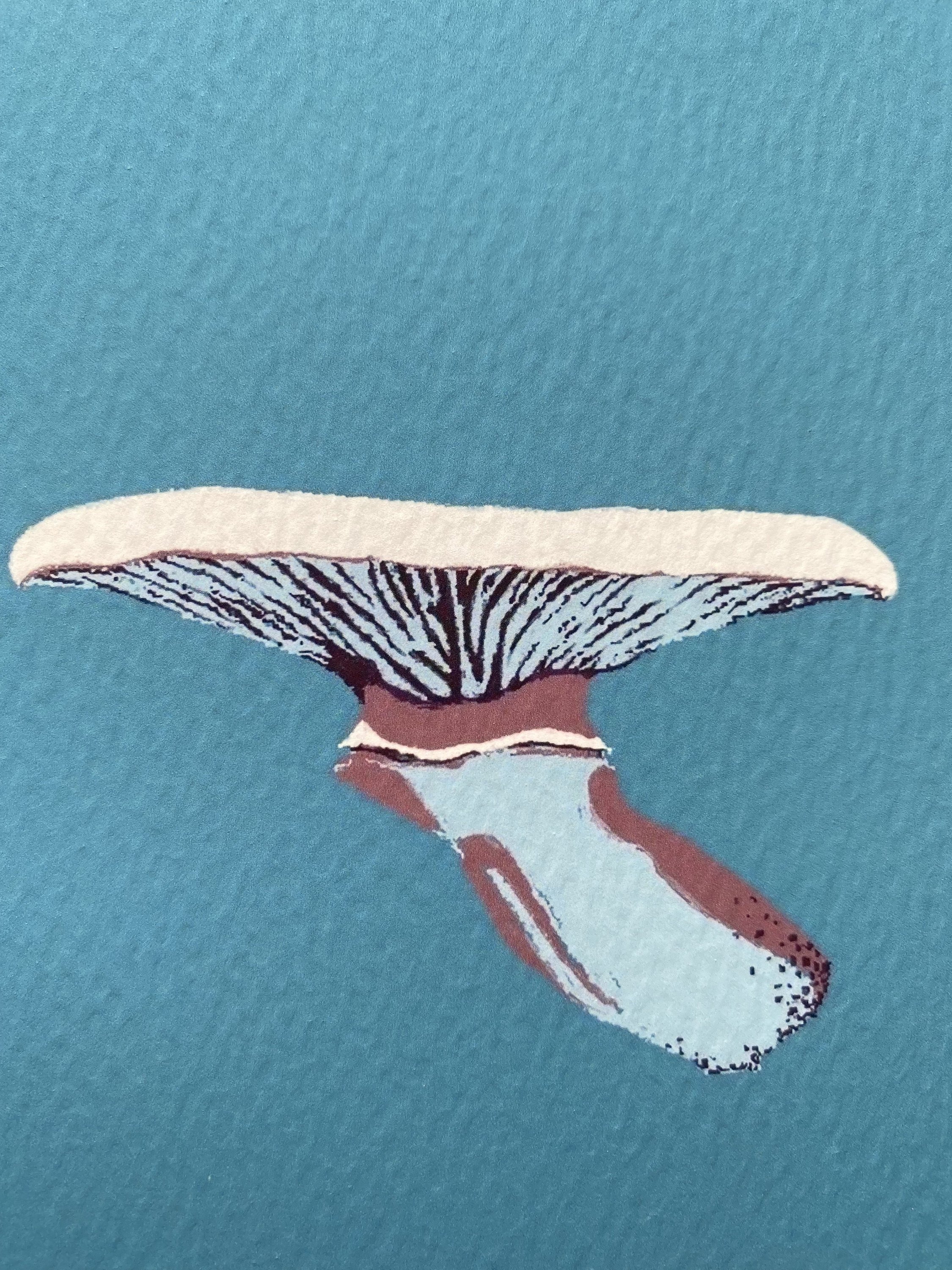 https://i.etsystatic.com/9775115/r/il/ee9d7f/3172657964/il_fullxfull.3172657964_ougb.jpg