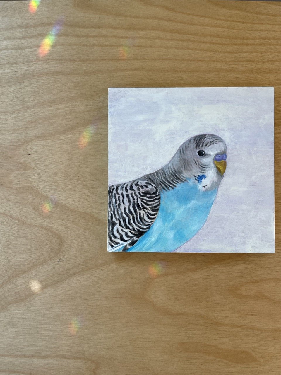 blue budgie.jpeg