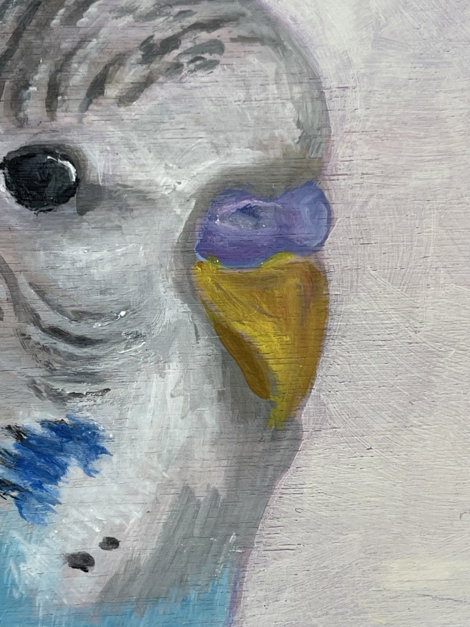 blue budgie6.jpeg