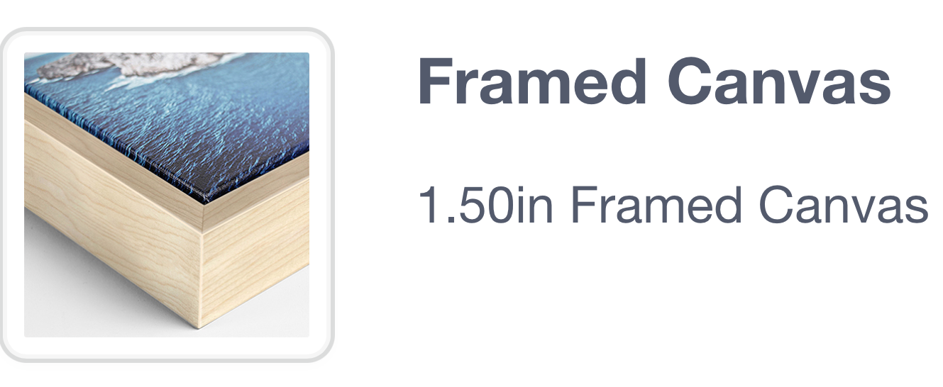 Screenshot 2026-02-09 at 11.31.30 AM.png