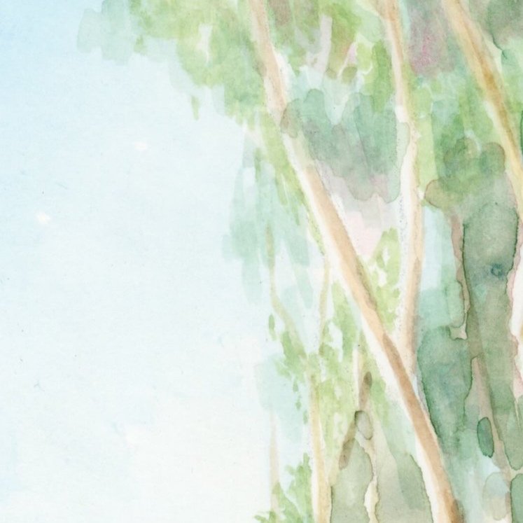 eucalyptus+road+small.jpg