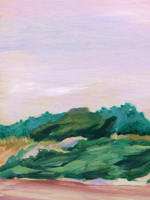 butterflyBeachReGalloway cropped large 3 Medium.jpeg