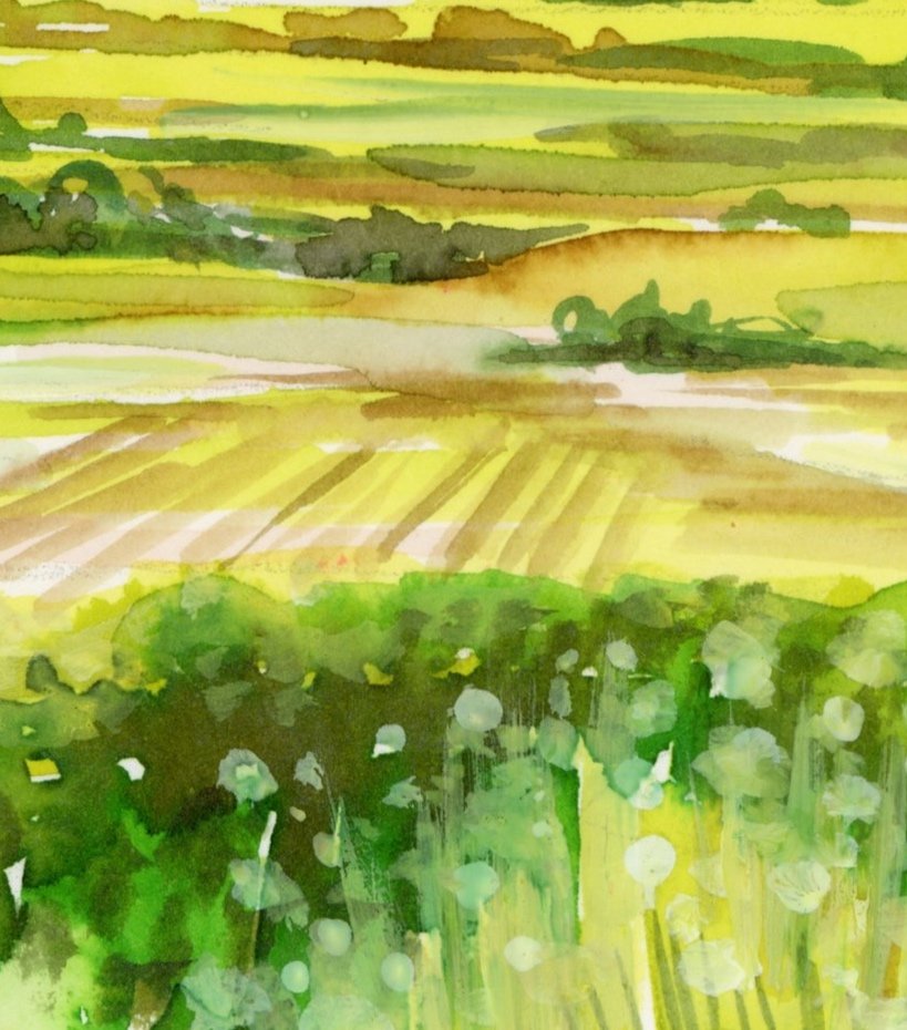 ojai+Valley+jpeg.jpg
