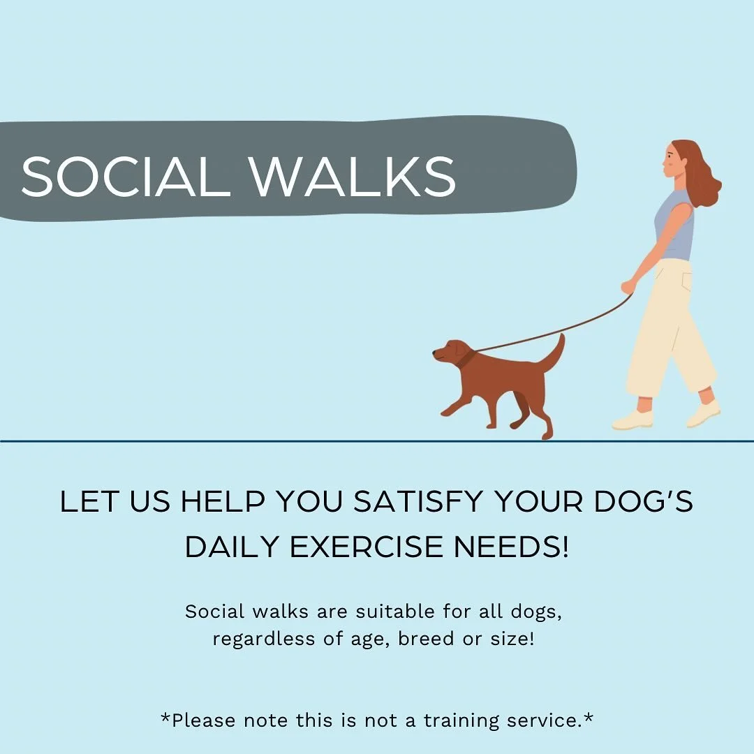 Is life getting in the way of meeting your dog&rsquo;s daily exercise needs? Let us help! 🐕&zwj;🦺 

Get in touch via DM or website!