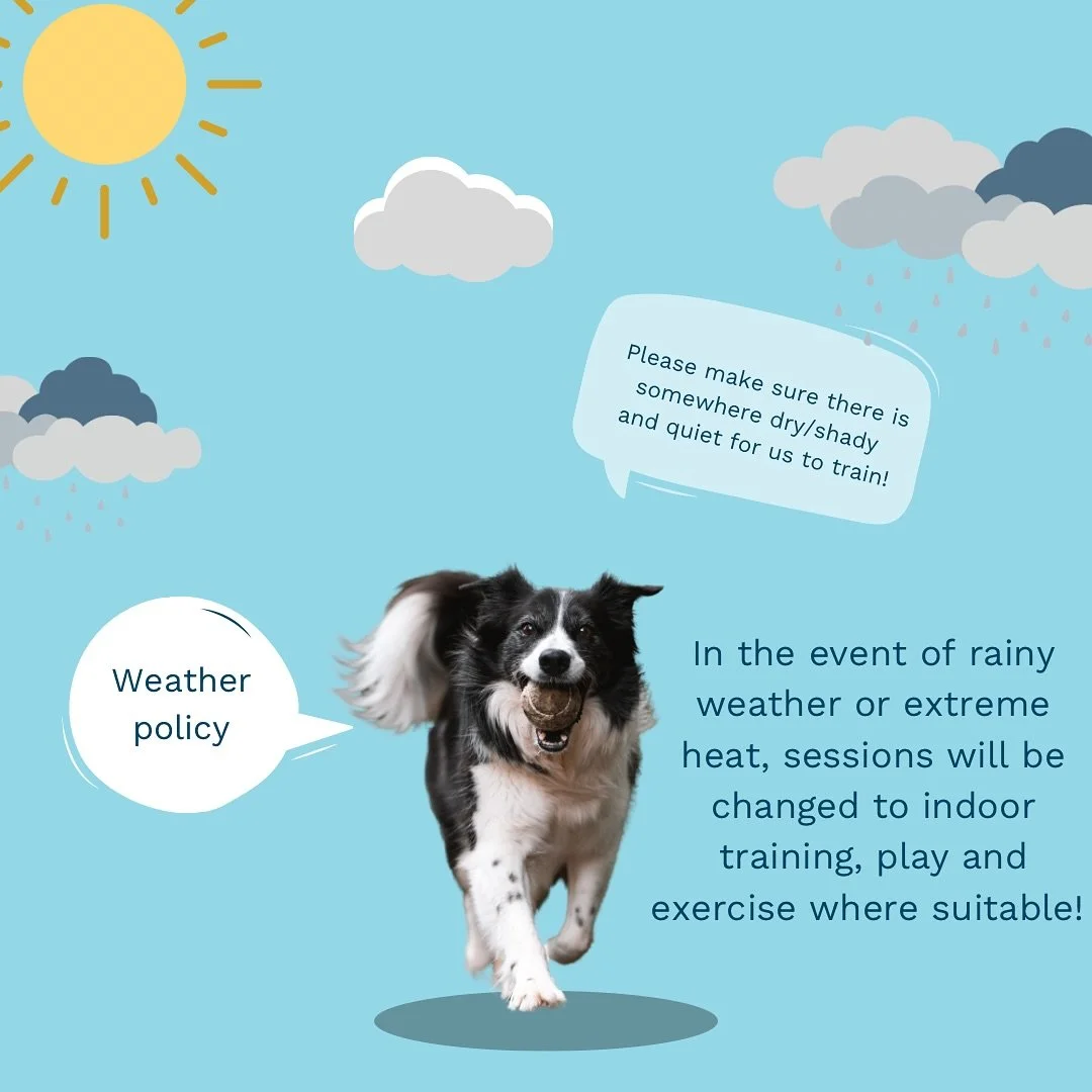 Wet/Hot Weather Policy ⛈️☀️

Our dogs still need exercise and training, even on days when the weather isn&rsquo;t ideal! 
If it&rsquo;s stormy outside, or the weather is in the high 30&rsquo;s sessions may be altered in order to keep them safe and ha