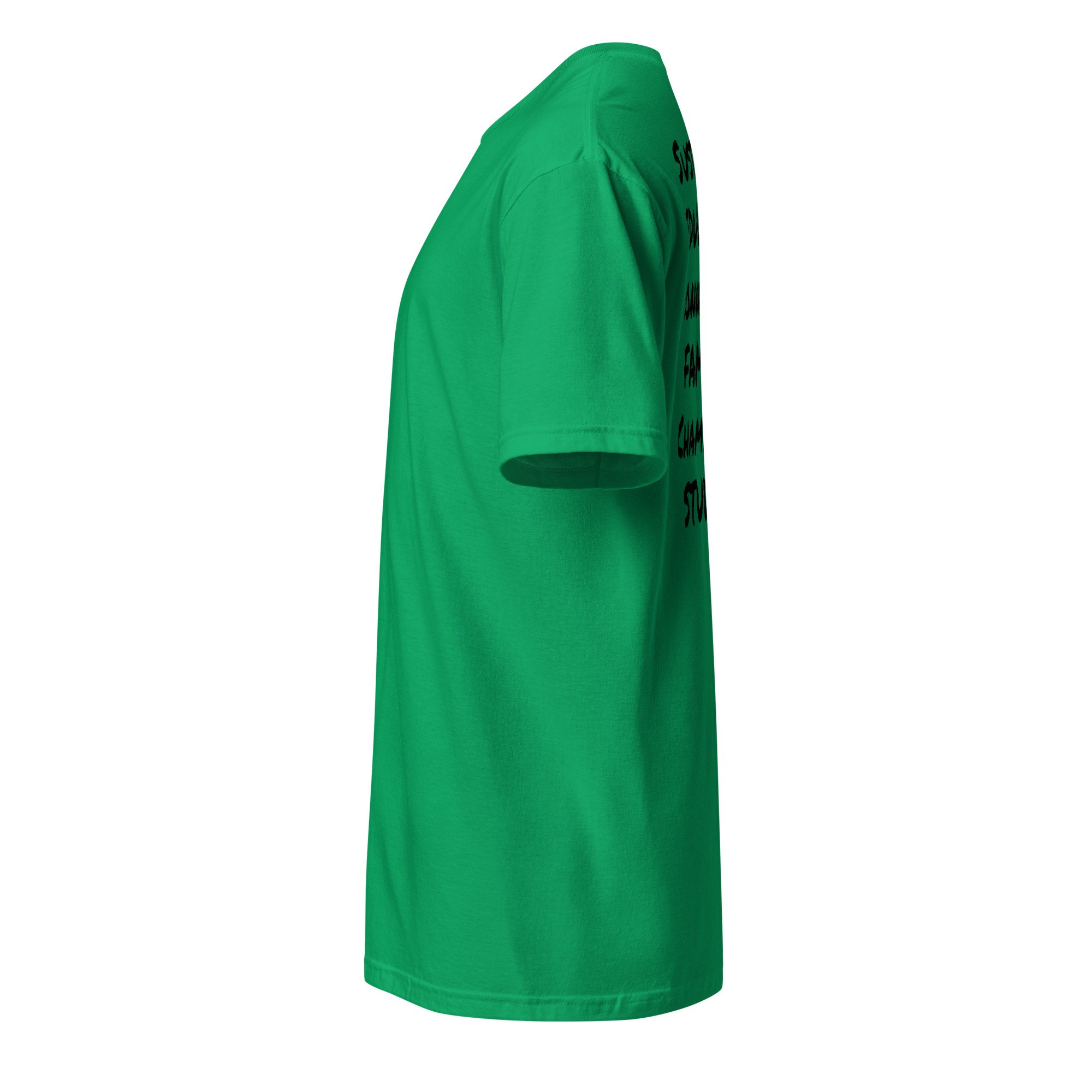 unisex-basic-softstyle-t-shirt-irish-green-left-67cdbfba439eb.jpg
